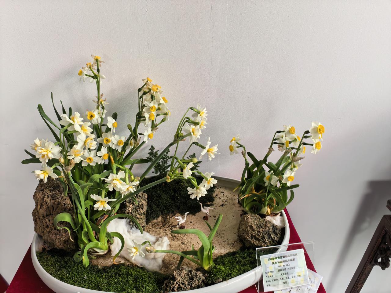 晒图笔记大赛保持定力，洁身自好。