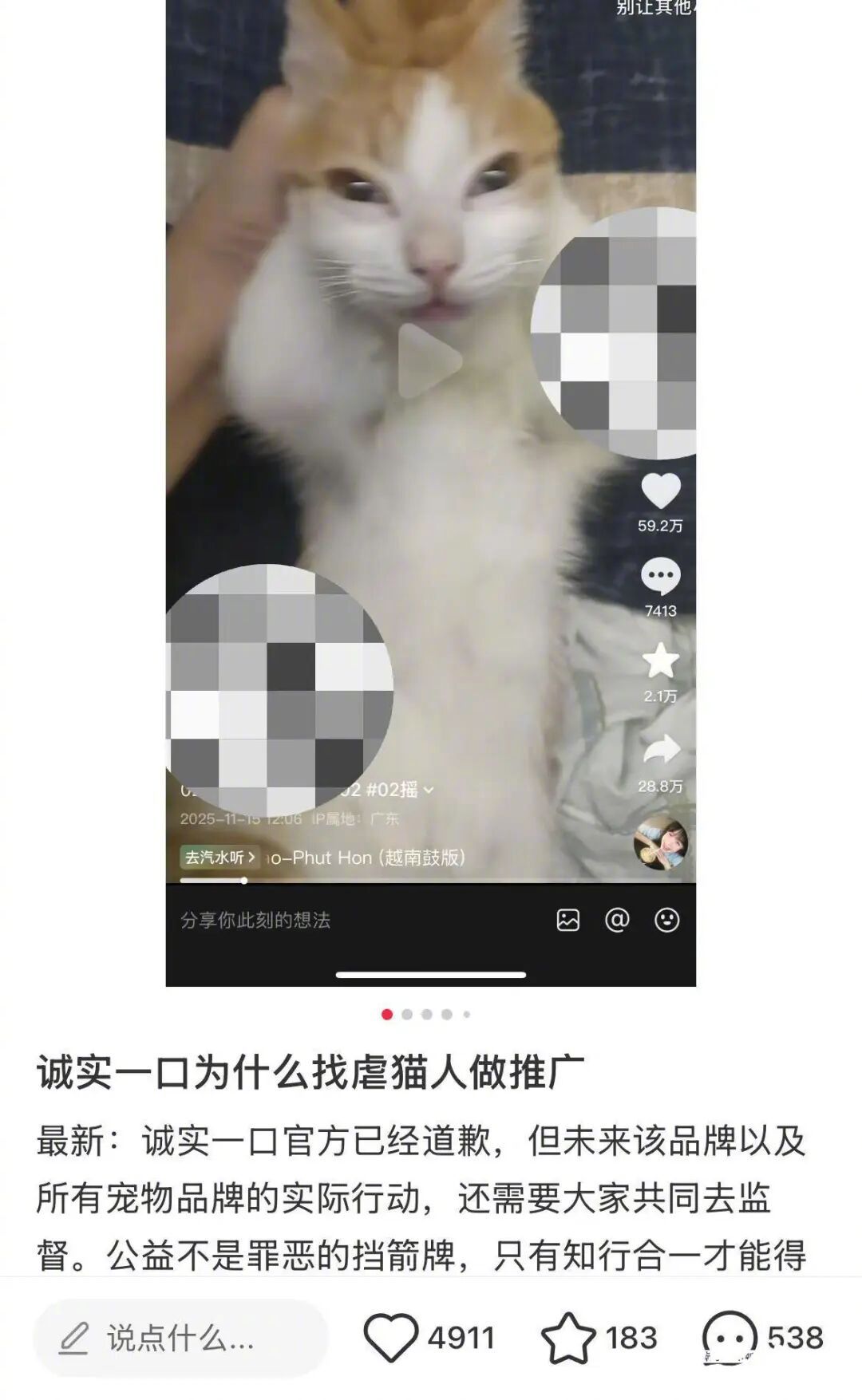 #宠物博主被指虐猫遭品牌解约#【宠物品牌致歉：辞退涉事员工，永久终止与涉事博主的