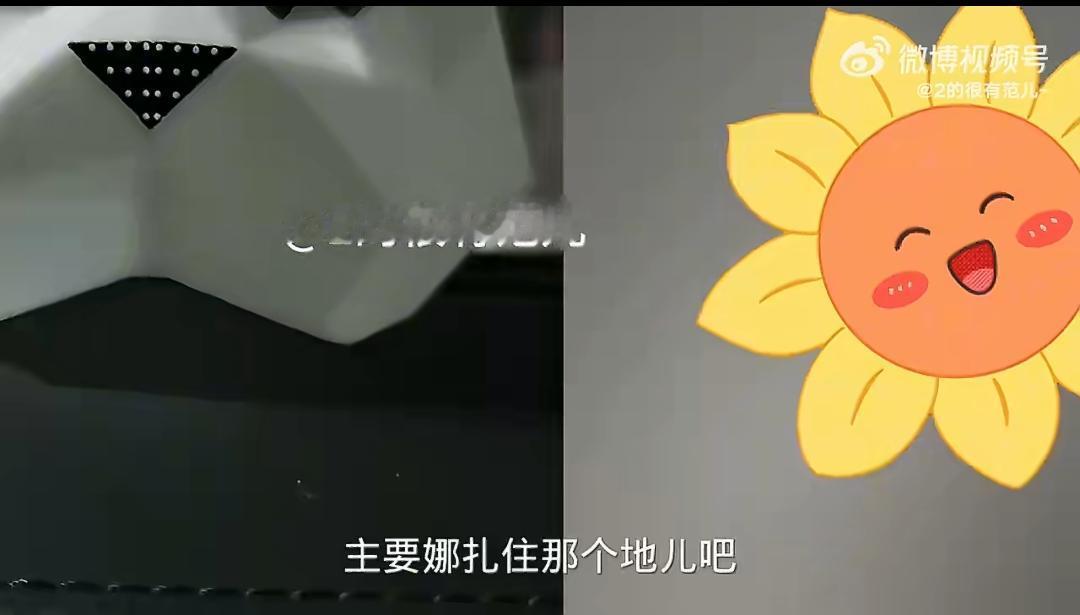 家人们！刘大锤这波瓜吃得我一愣一愣的！上周拍娜扎参加活动后直接回家，第二天张云龙