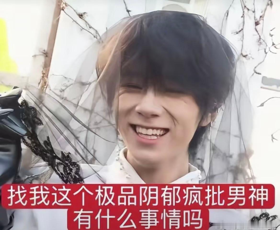 我要被这个表情包笑死了。 