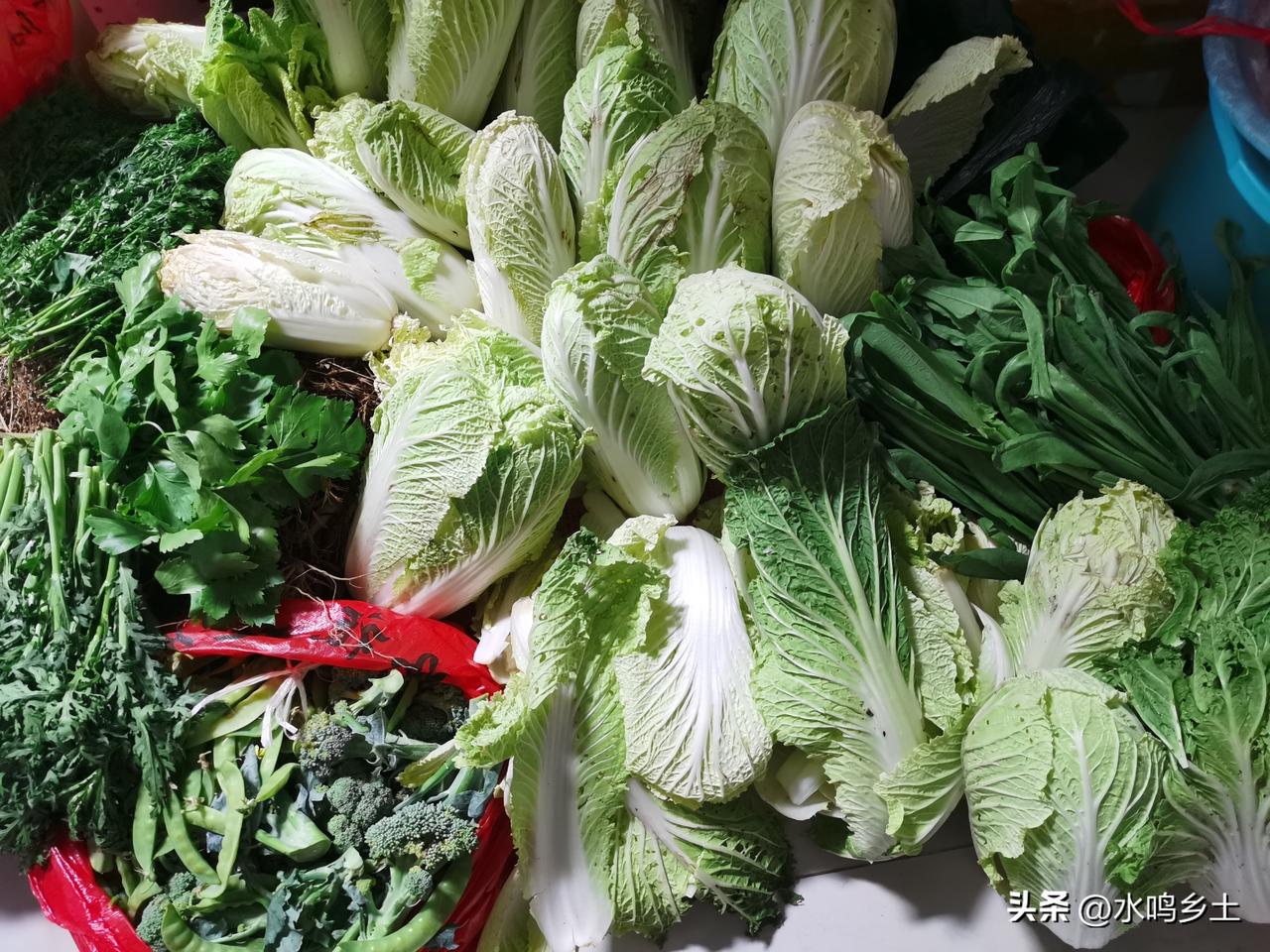 农村有啥不好的，想种菜就种菜，想养点家禽就养家禽，有自己的房子，有山泉水，有天然