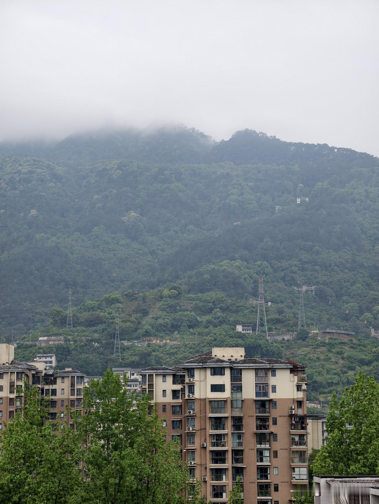 今日重庆缙云风景区，小雨。早晨的缙云山云雾缭绕，仙气飘飘，空气格外清新，不冷不热