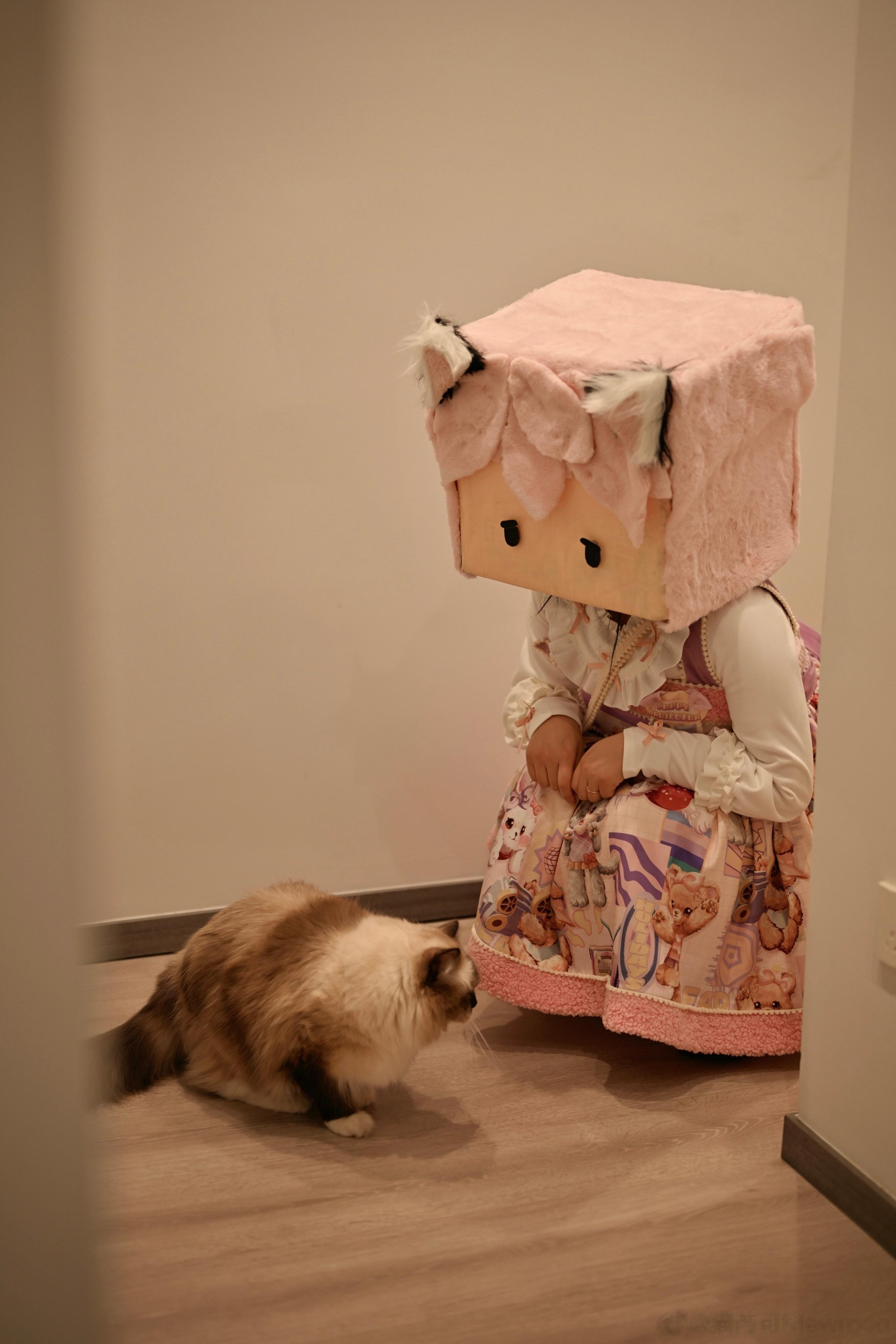 快来买猫猫家的裙子啦~#猫芮可[超话]# #lolita# #lolita上新#