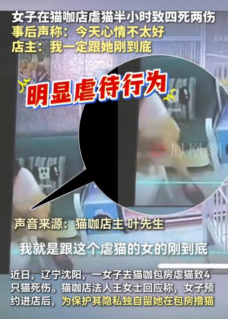 沈阳，一女子进入一家猫咖店，趁店员不注意，使劲捏一只小奶猫的喉咙，还将小奶猫拧成