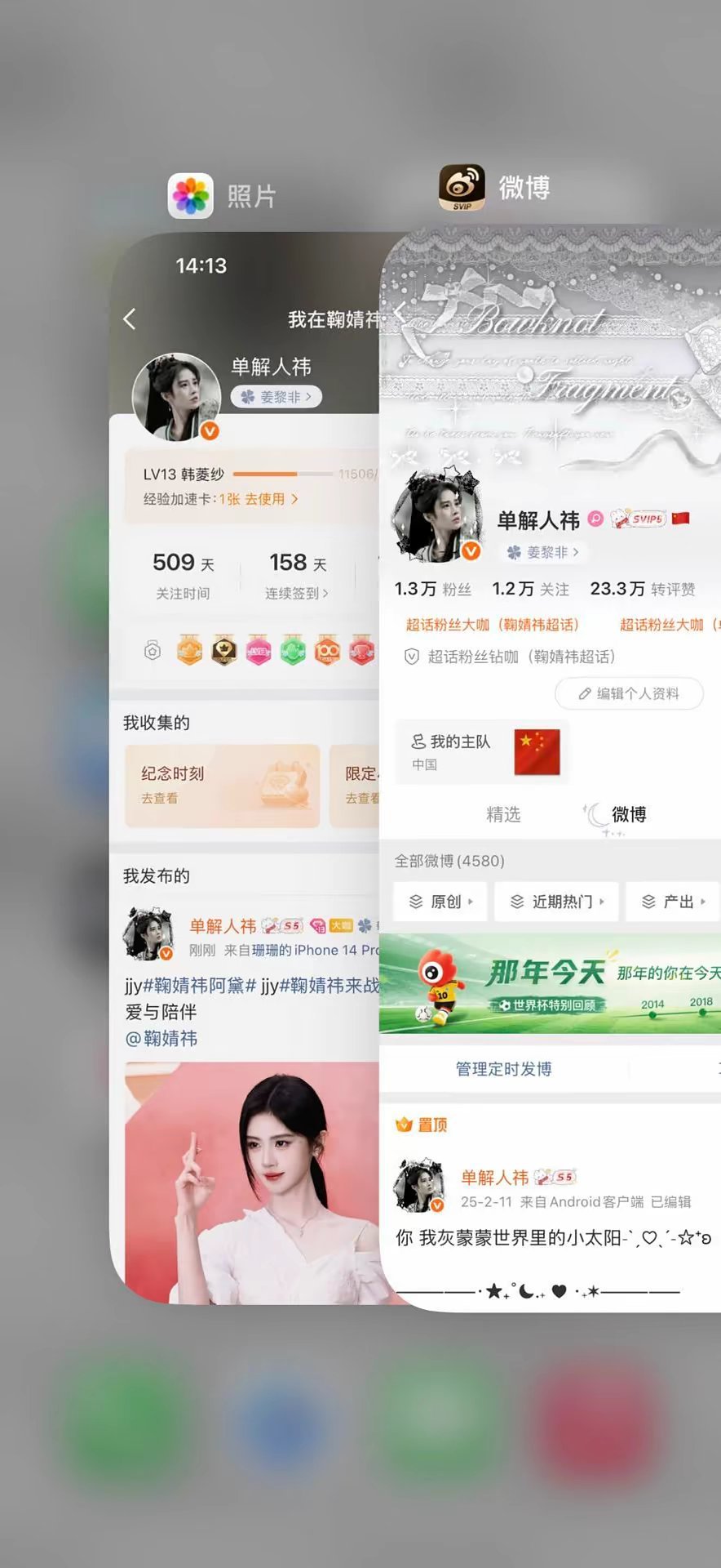 晚上好 来动动 