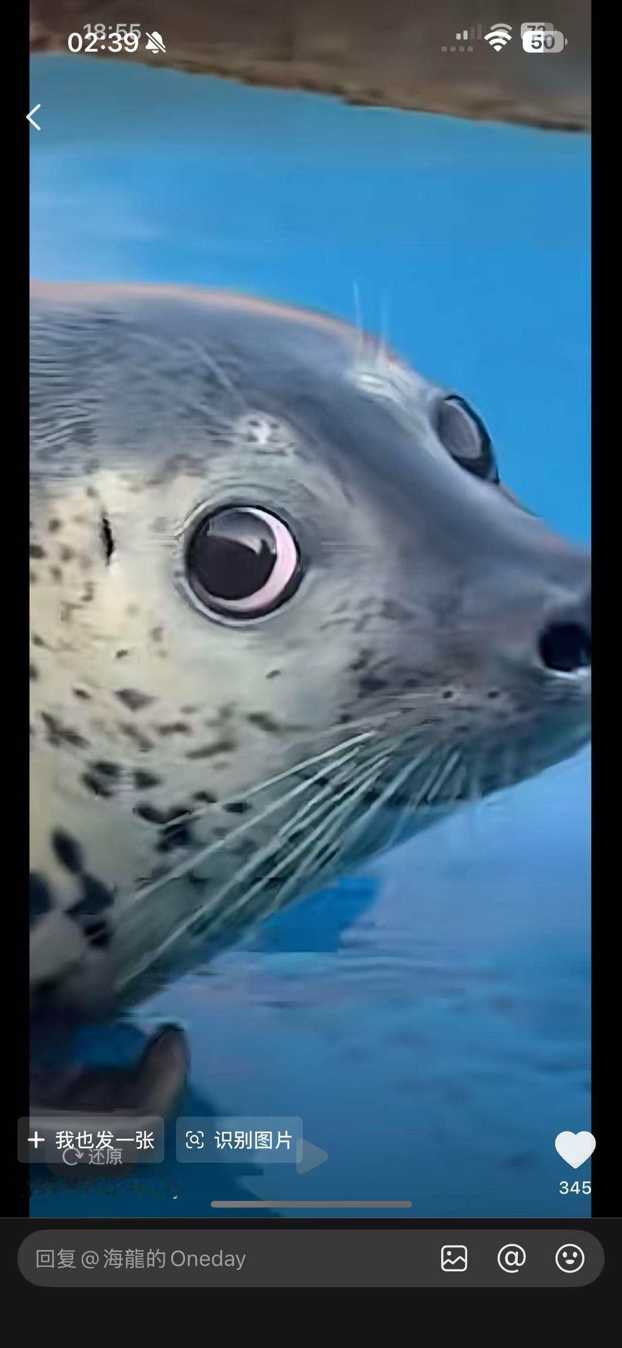 呃 