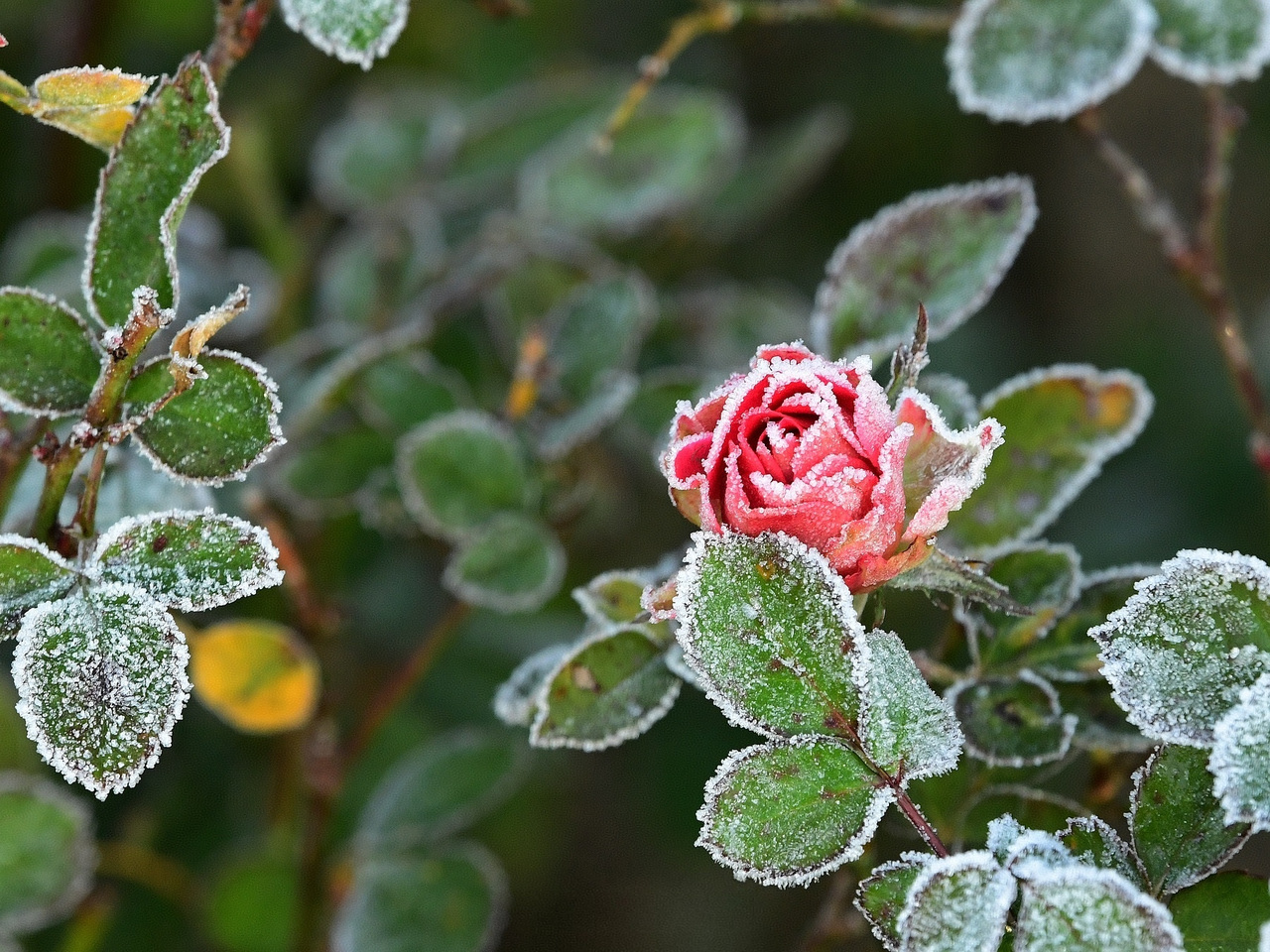 冲击22℃！这个周末又是出游的好日子