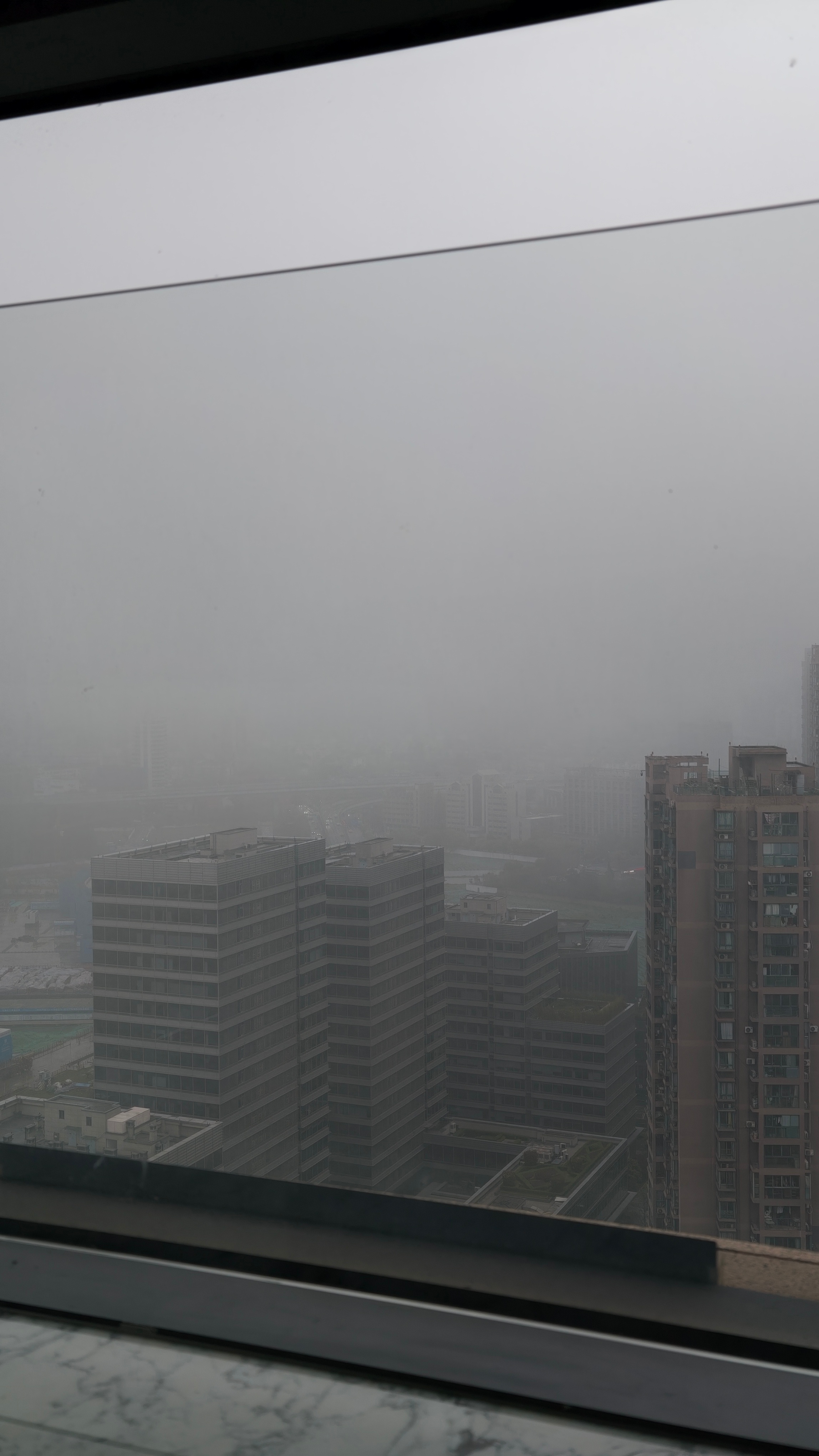 早上好，昨天睡前喝了点龙井，结果睡眠翻车了……不仅睡不着，还频繁起夜看看今天能不