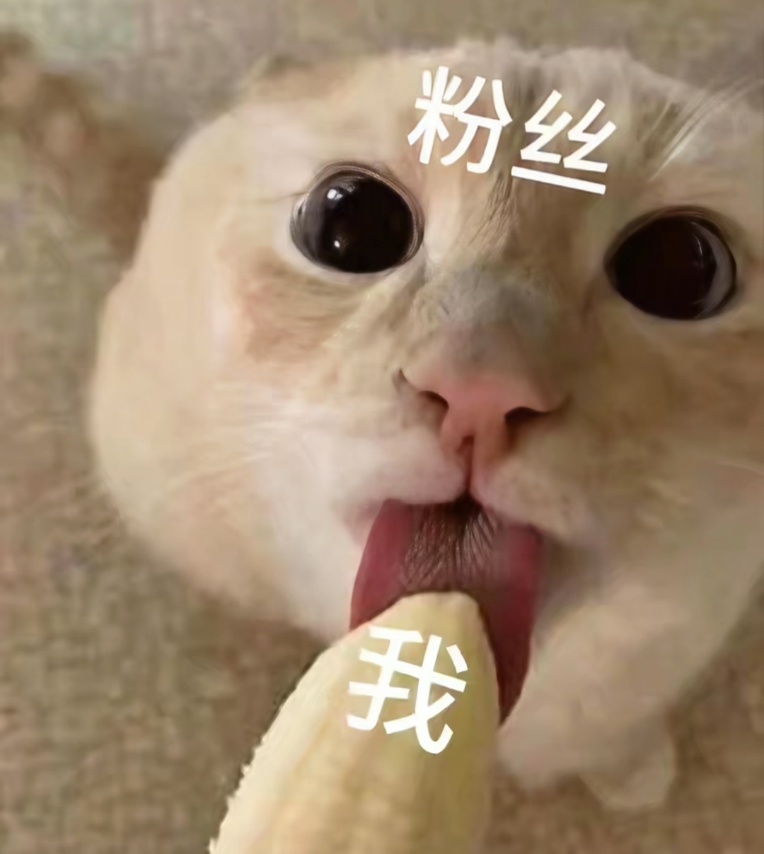 分享图片 