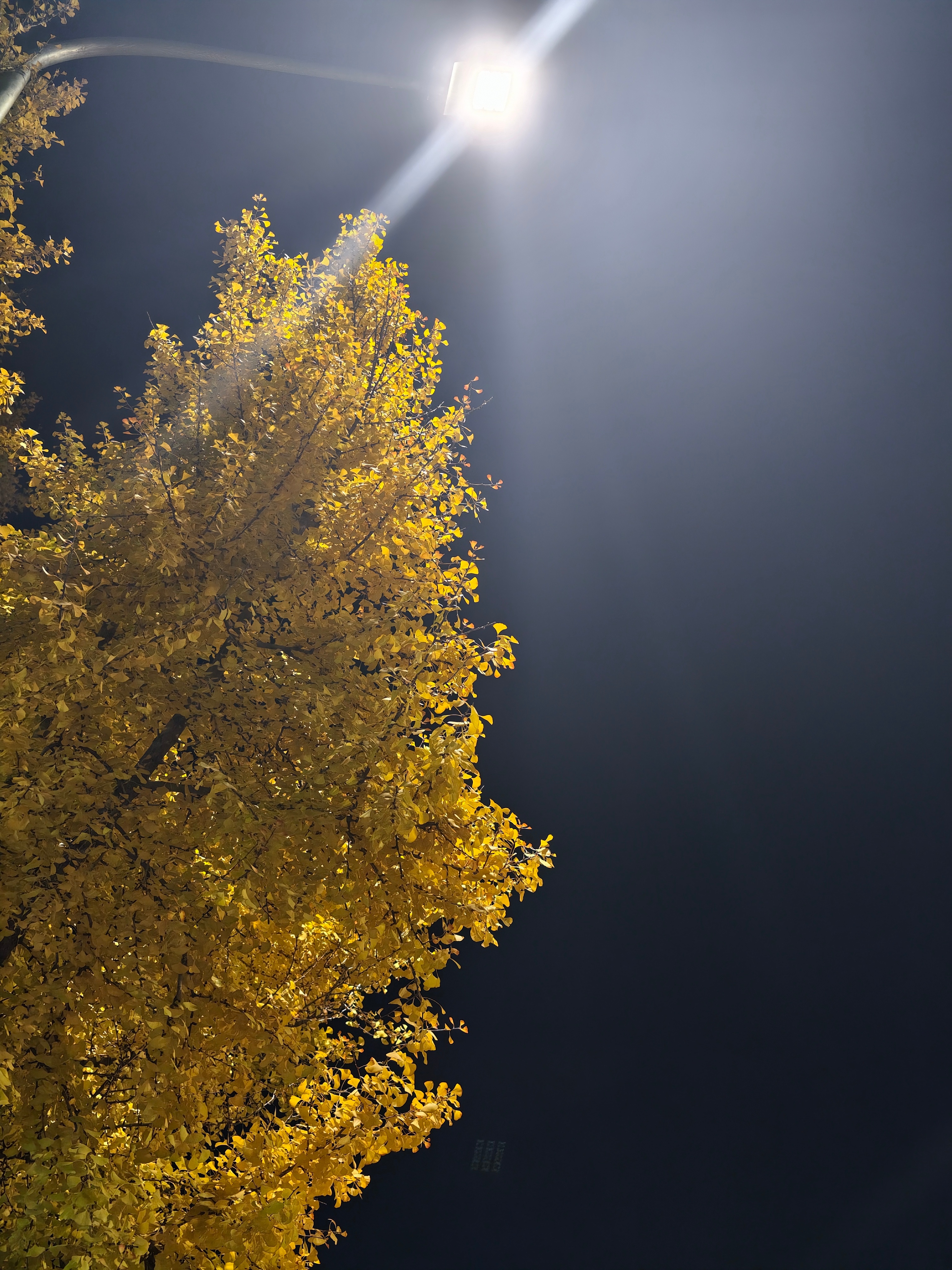 呀～今日收工  ​​​