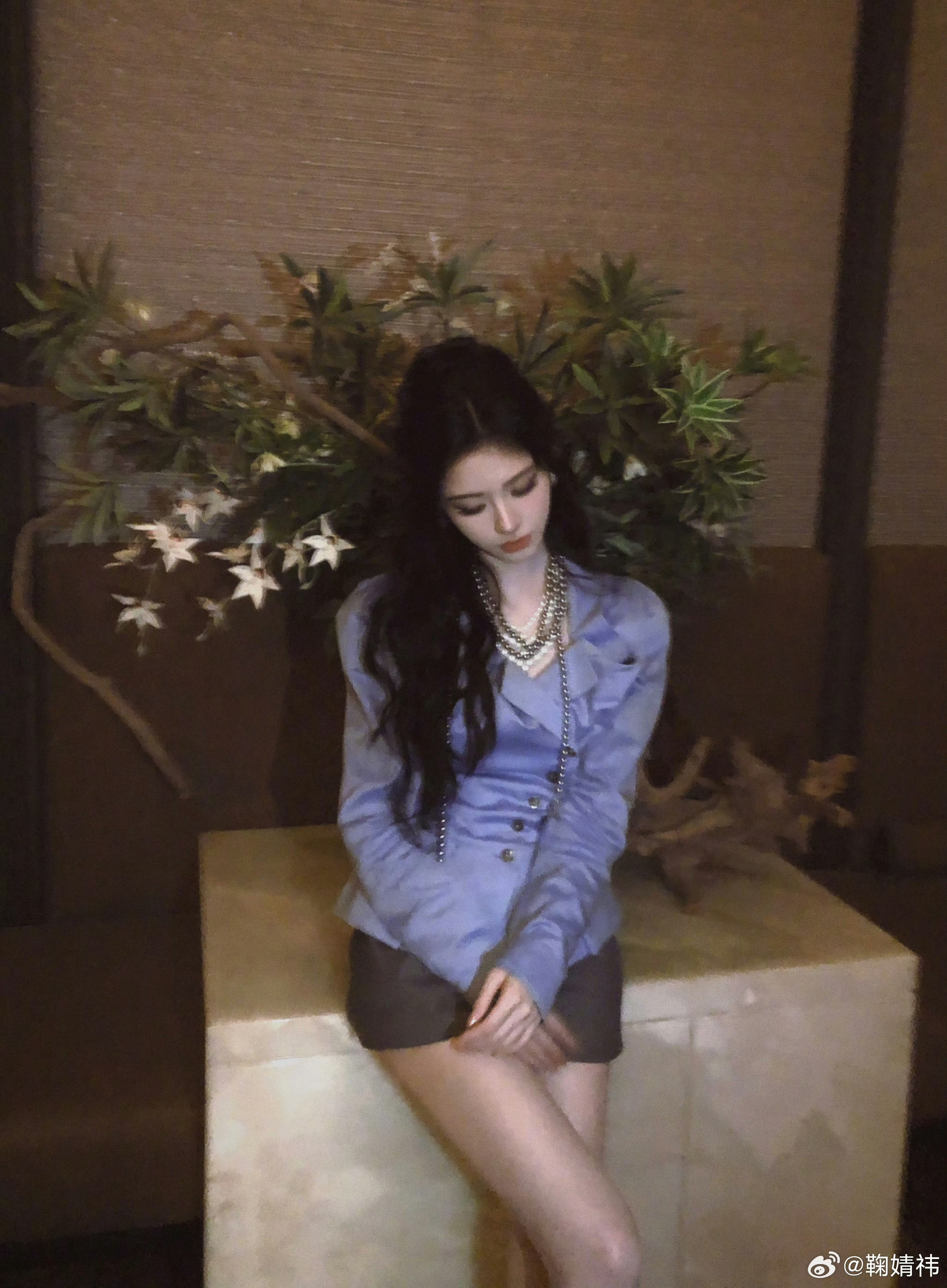 鞠婧祎苏绿夏 jjy鞠婧祎万花世界 “枫叶被风拂起又掉落，入眼的是眉眼带笑的你，