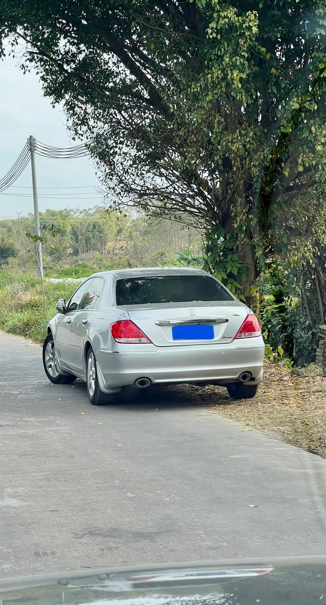 讴歌只能放榕树头了 肇庆