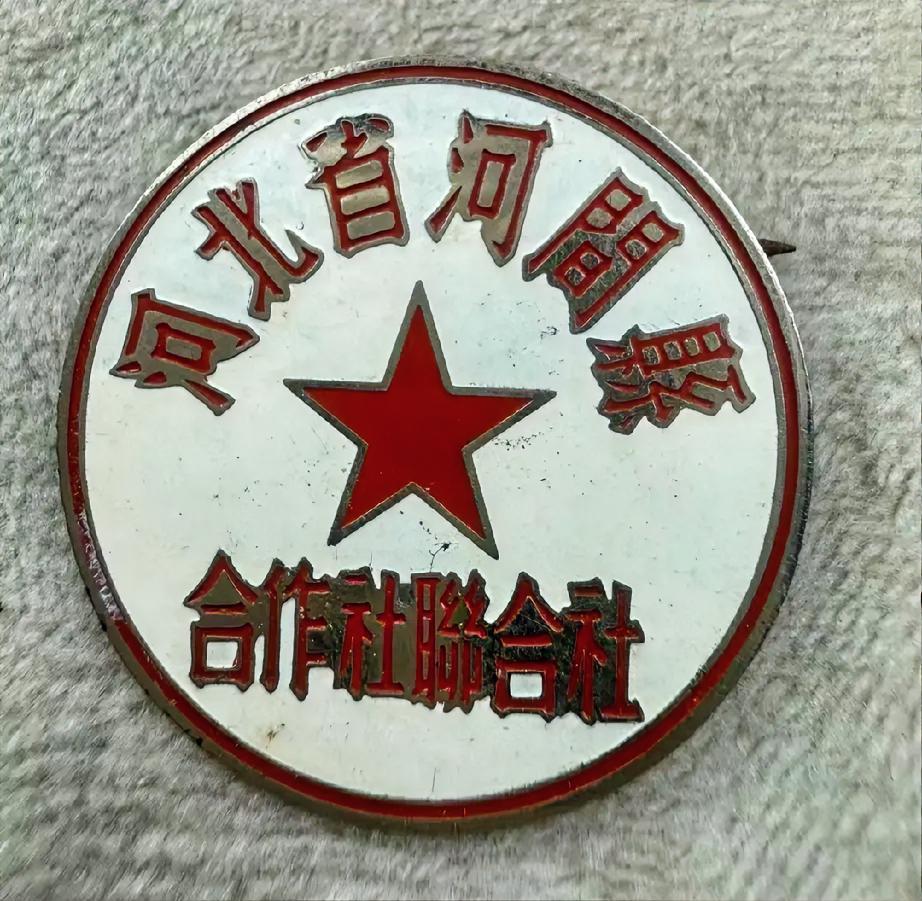 河北省河间县供销社联合社