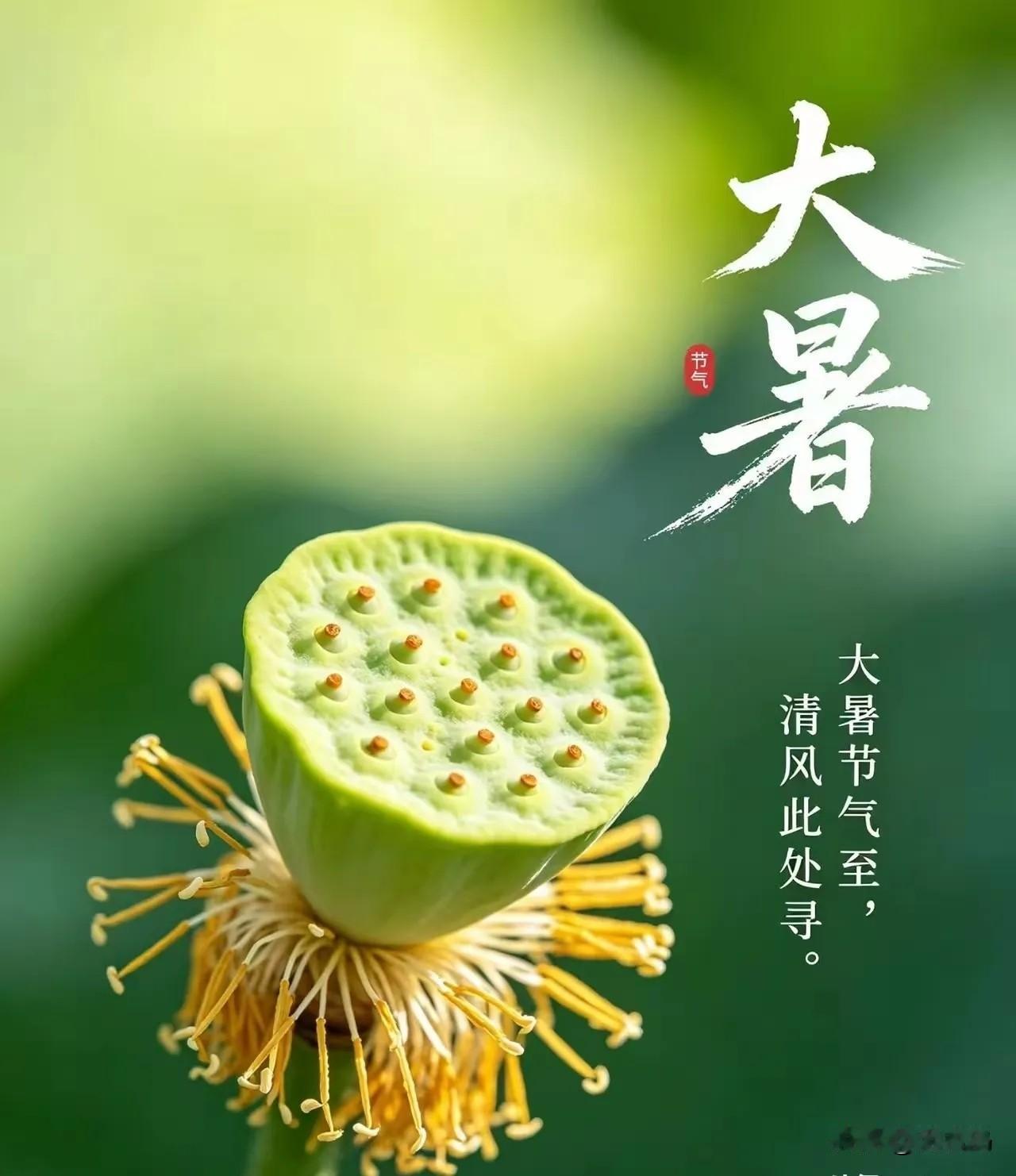 今天就是大暑，2026年交节在7月23日凌晨3点12分。老话讲“早大暑凉半月，晚