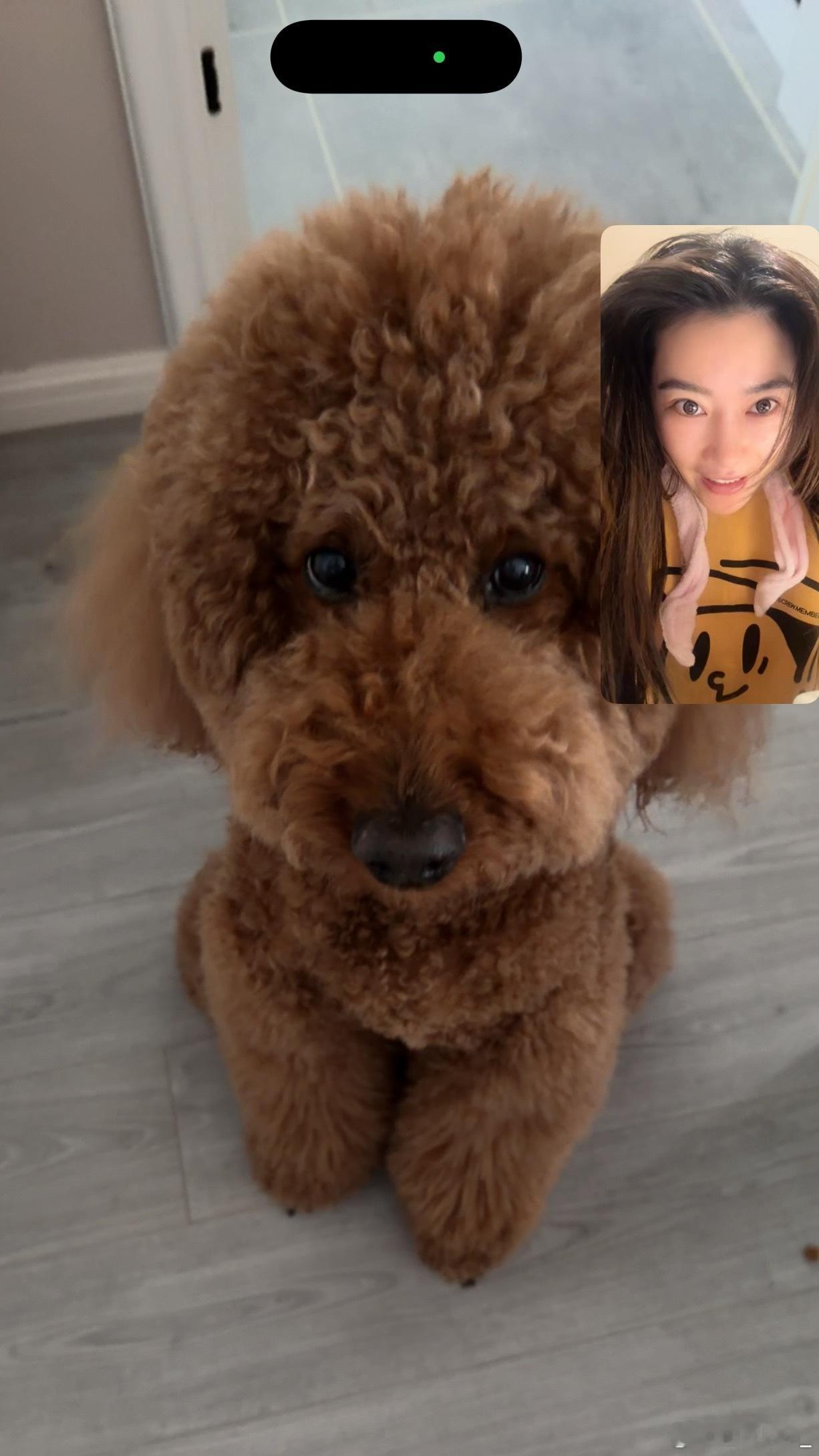 mia的plog时刻 出差最惦记的就是你了