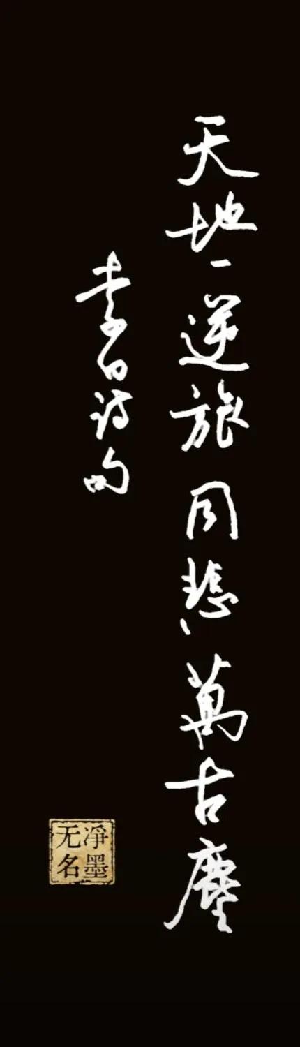 天地一逆旅，同悲万古尘。
落款：李白诗句
简评
竖幅行草，线条简练舒展，字距疏密