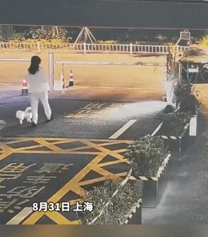 女子晚上溜它，溜到了车子进出口的地方，不知是开车人脑短路，还是什么情况，车子只奔