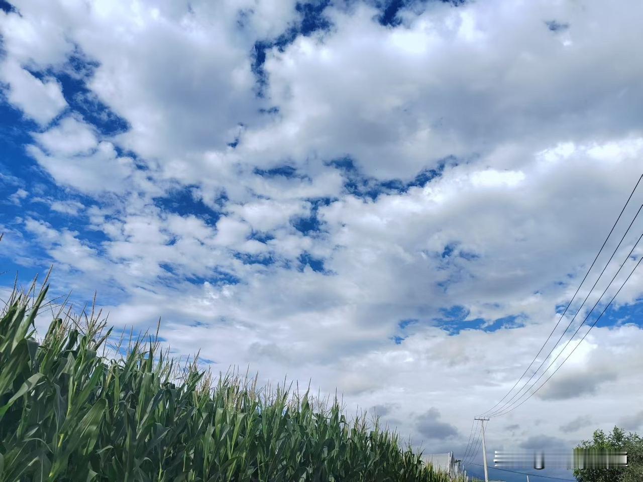 人的一生求什么？不同阶段答案不同。
年少时，满是对世界的憧憬，求成长、远方、前程
