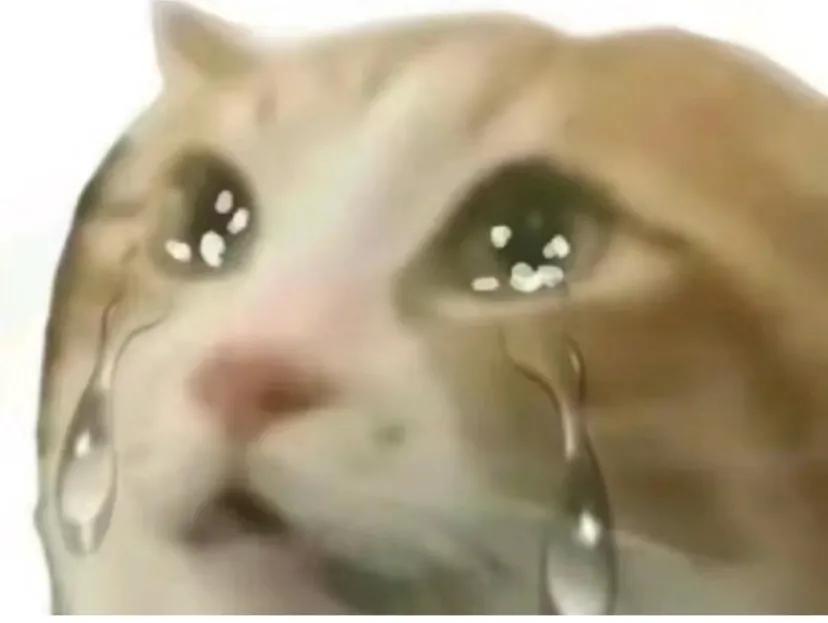 我妈觉得本科毕业生三四万一个月很正常。。
有时候觉得读书好没劲儿啊，家里农村的，