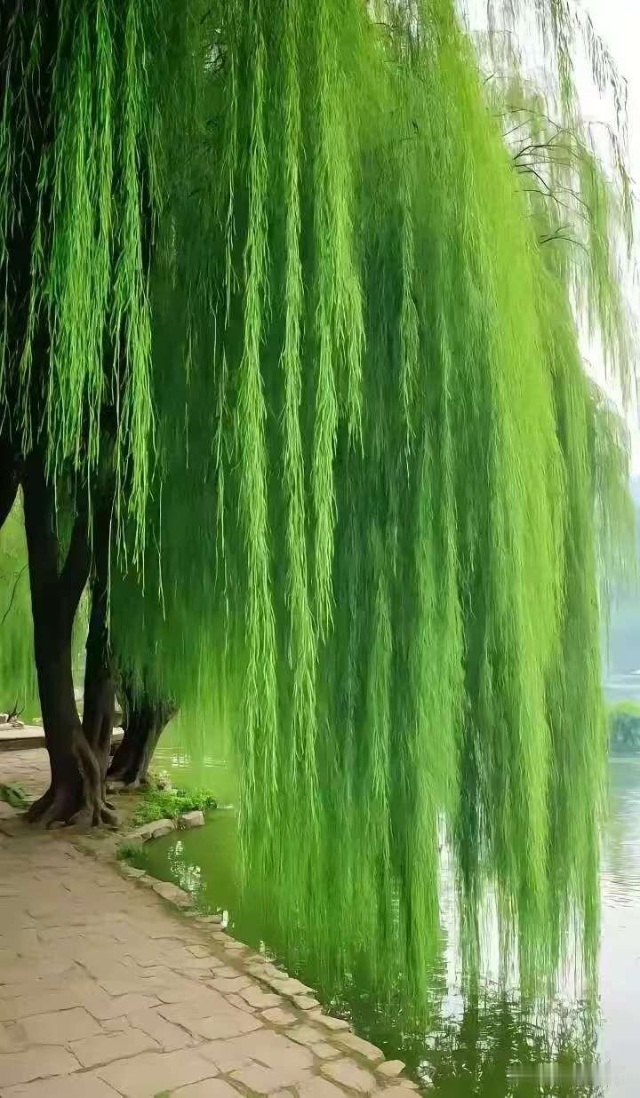 七绝《问候》
 
一句叮咛语不长，
情丝缕缕系心房。
纵然未见容颜面，
亦觉春风