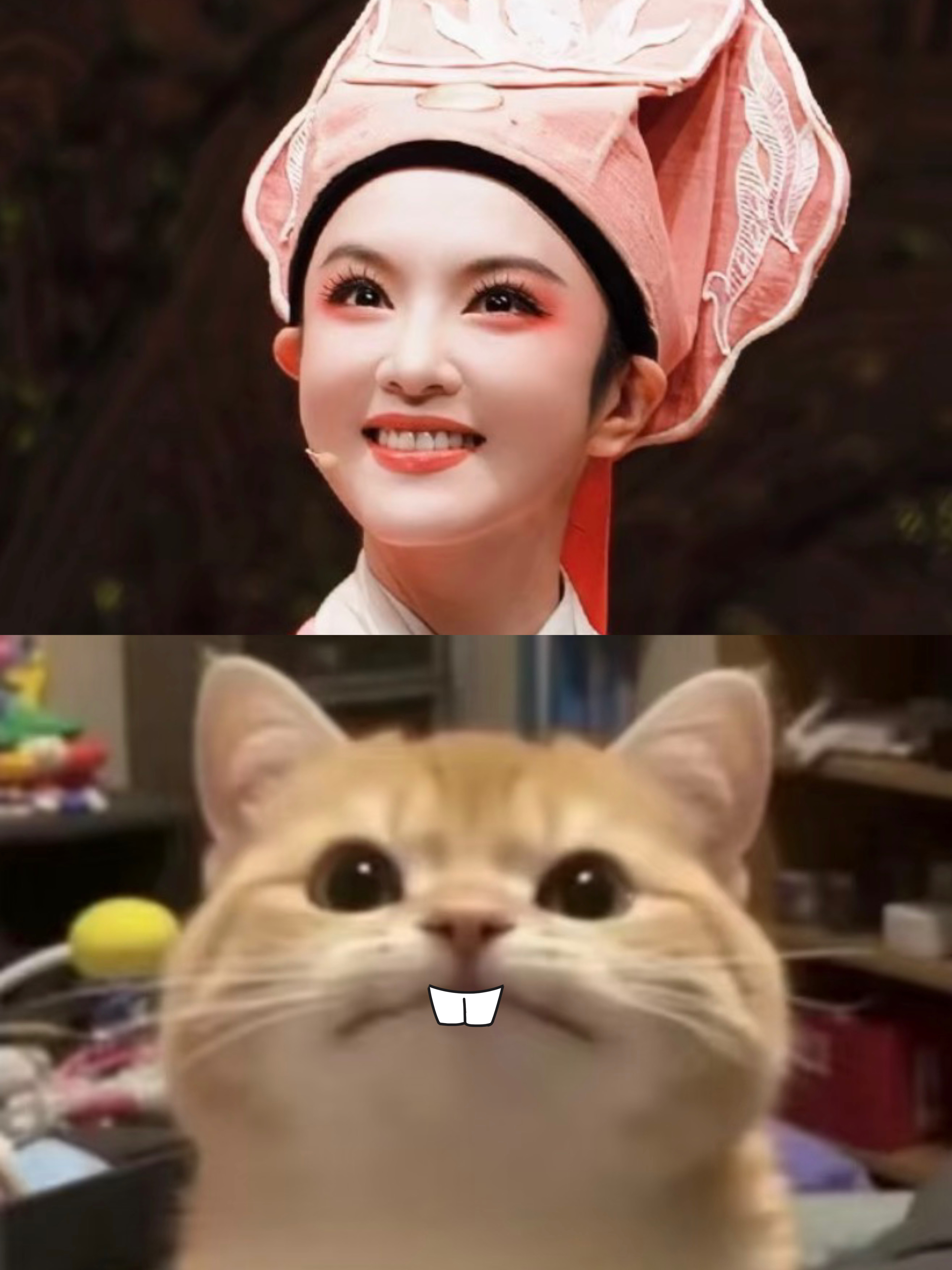 这张好可爱哦！！！wuli小九啊！圆圆脑袋可可爱爱，被帽子压折的耳朵这不就是年轻