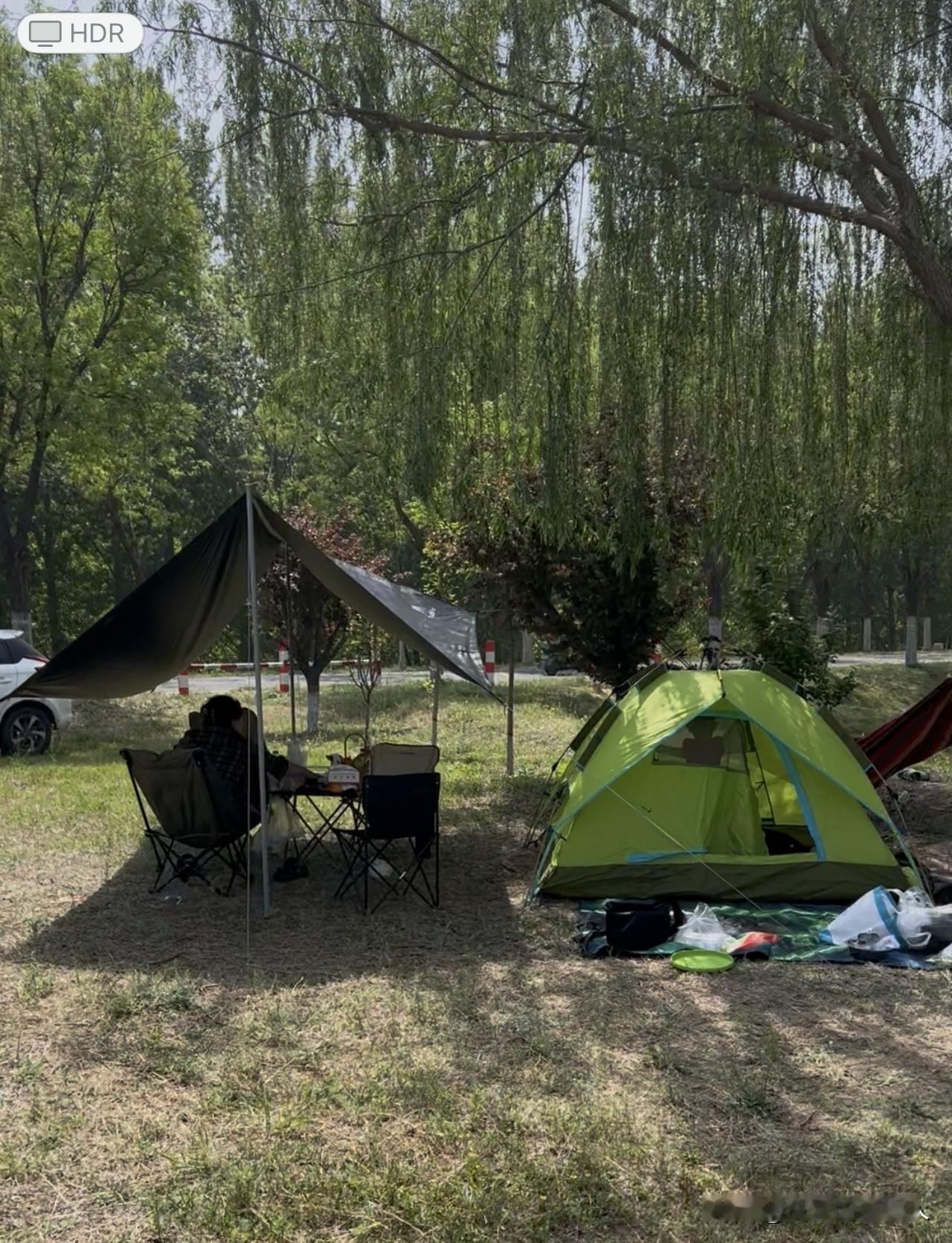 山东滨州高新区青田街道黄河岸边风景优美！适合露营，从青田浮桥过黄河沿黄河大坝往东