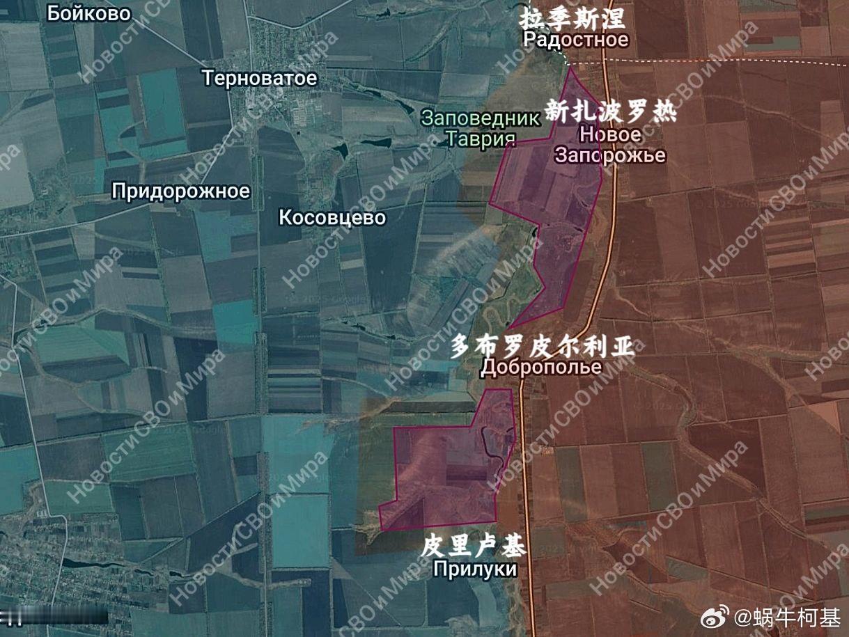 扎总，东方快车无视你辛辛苦苦督建的防线，直接跨过去了，你说气人不气人来源：Нов