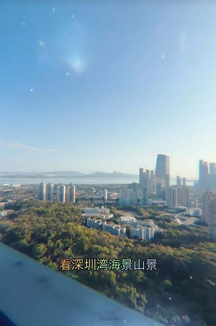 深圳南山天鹅湖三期法拍成交：123平45楼，1490万成交，单价12.1万。业主