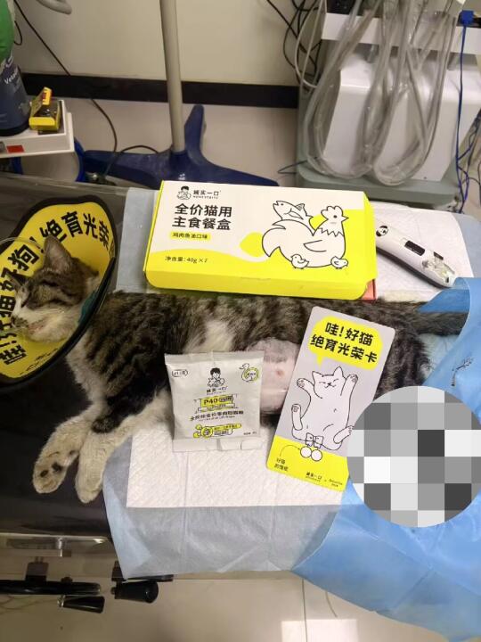 派件绝育啦！