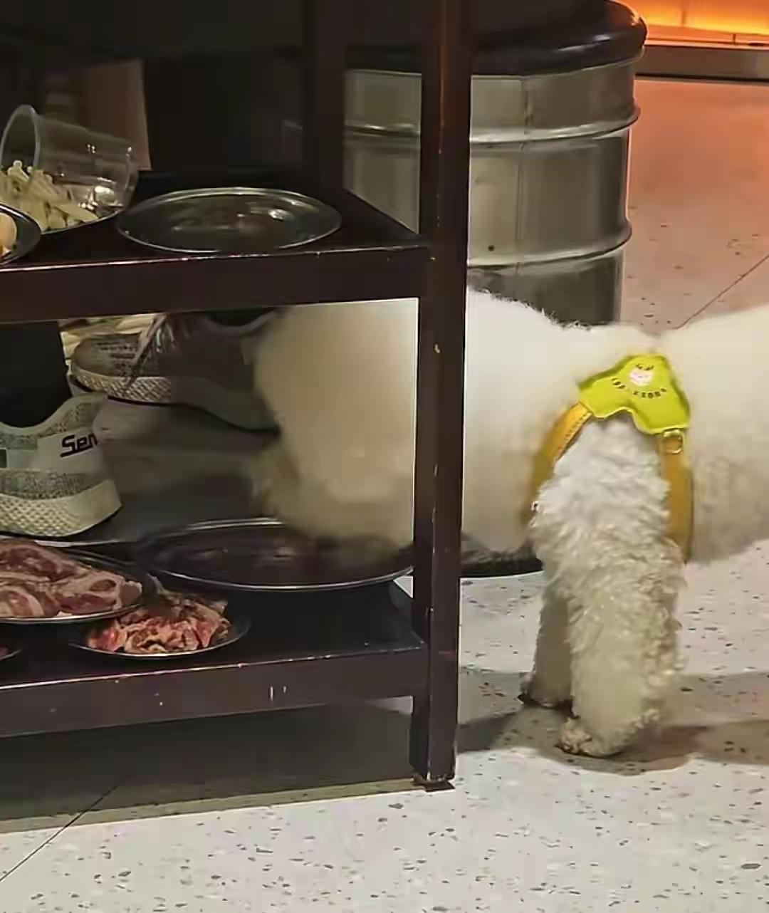 烤肉店狗舔盘吃肉这事，你在意不在意？
如果在意，那就今生再不进这家餐馆，然后再广