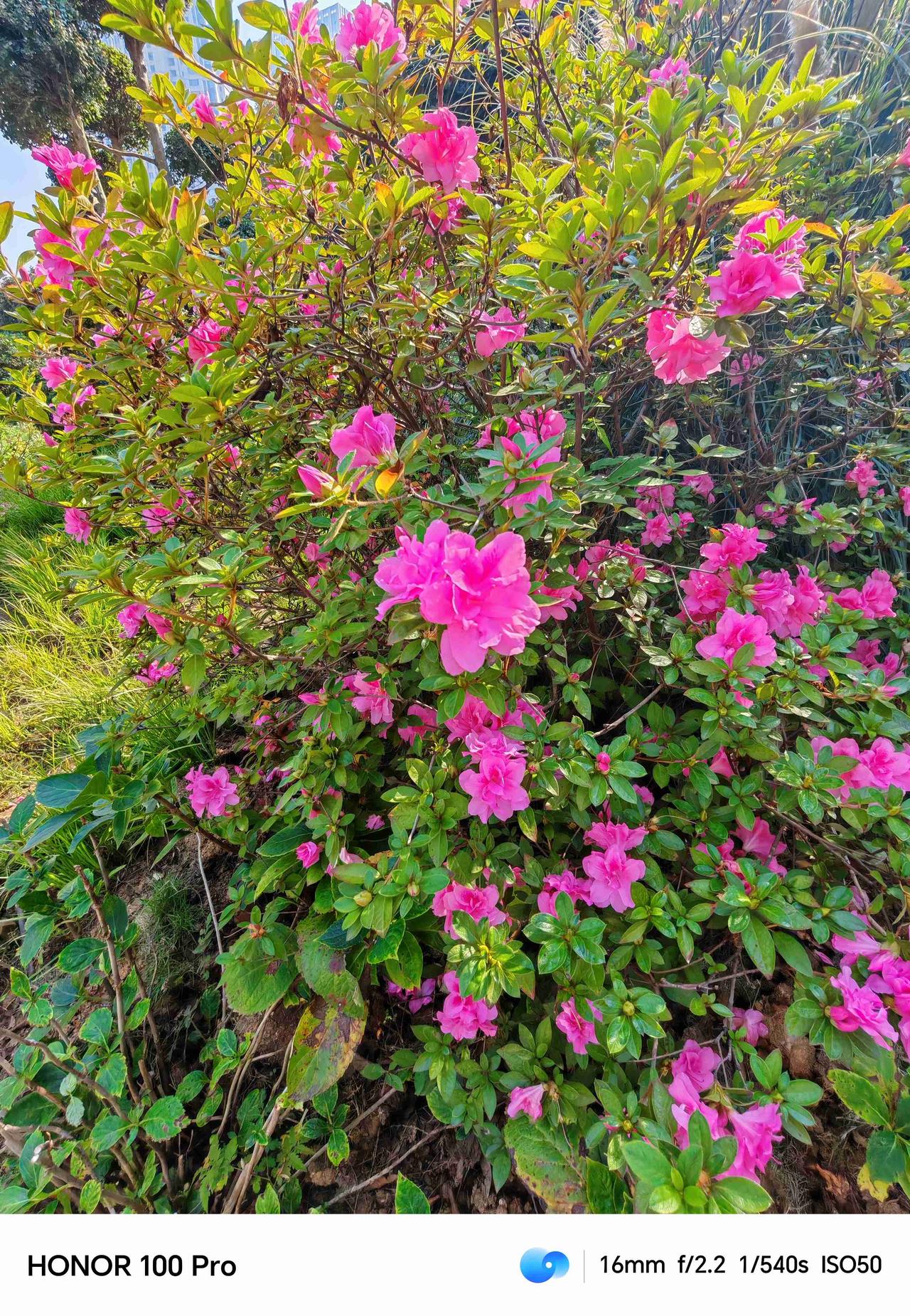 我的今日状态：😁轻松愉快
我这里的天气：🌤️多云