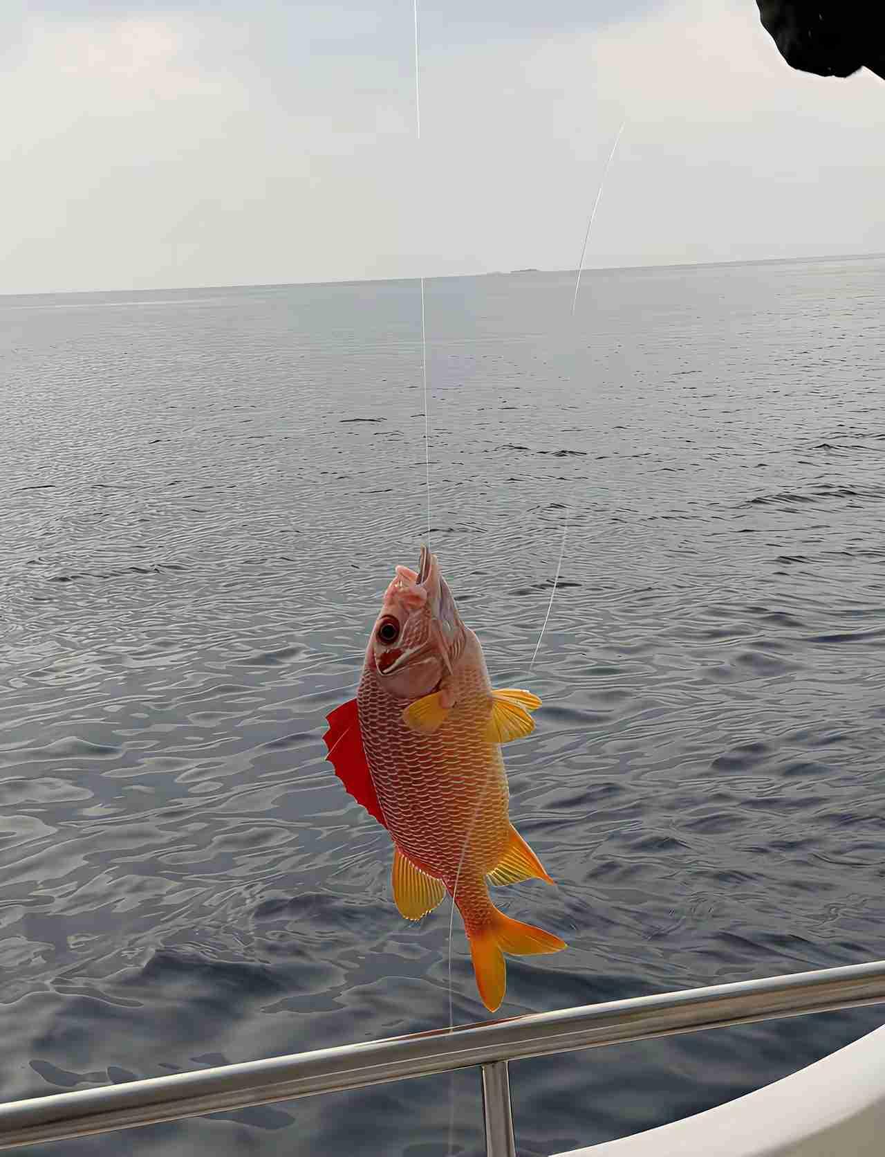 我的今日状态：💰期待暴富
我这里的天气：🍂微风