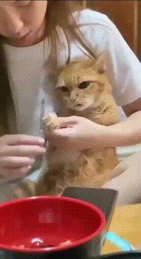 美甲