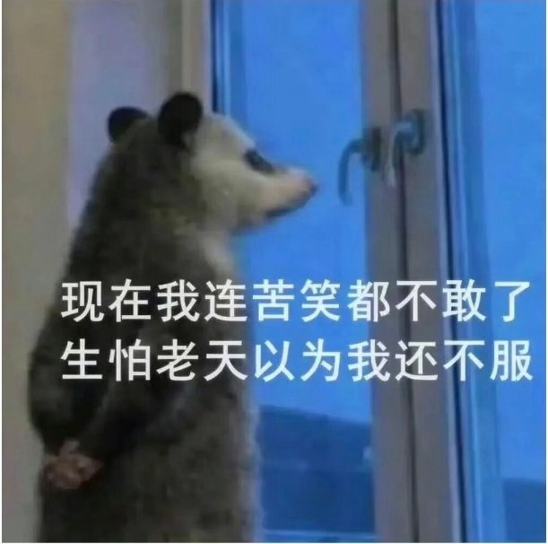 心理委员我不得劲，为什么有人一个人能抢到2张票 ​​​