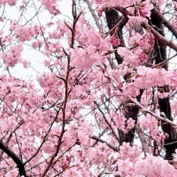 每日一善一切都是为了阳光信用毕竟好久都没怎么涨了 一起保护大自然 与社会携手做公