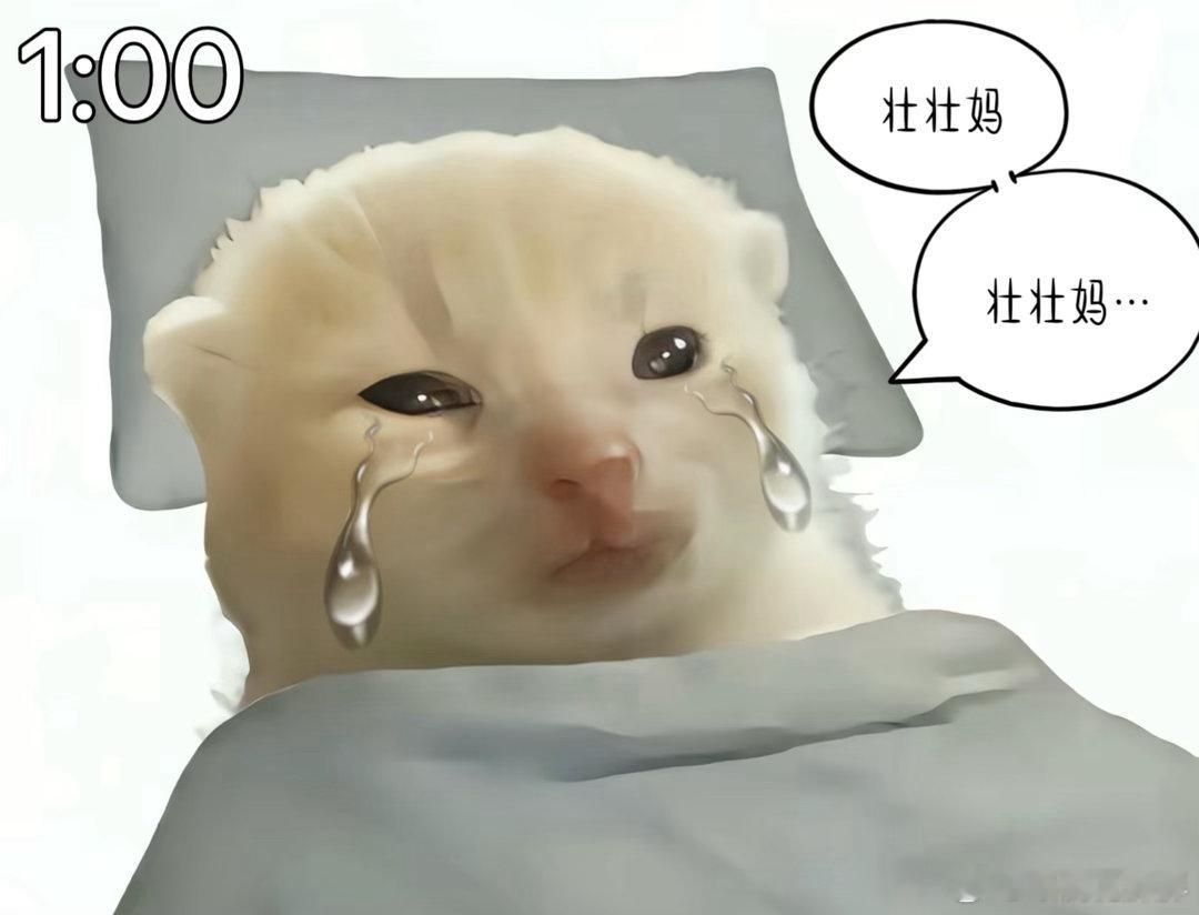 华晨宇失眠照流出： 