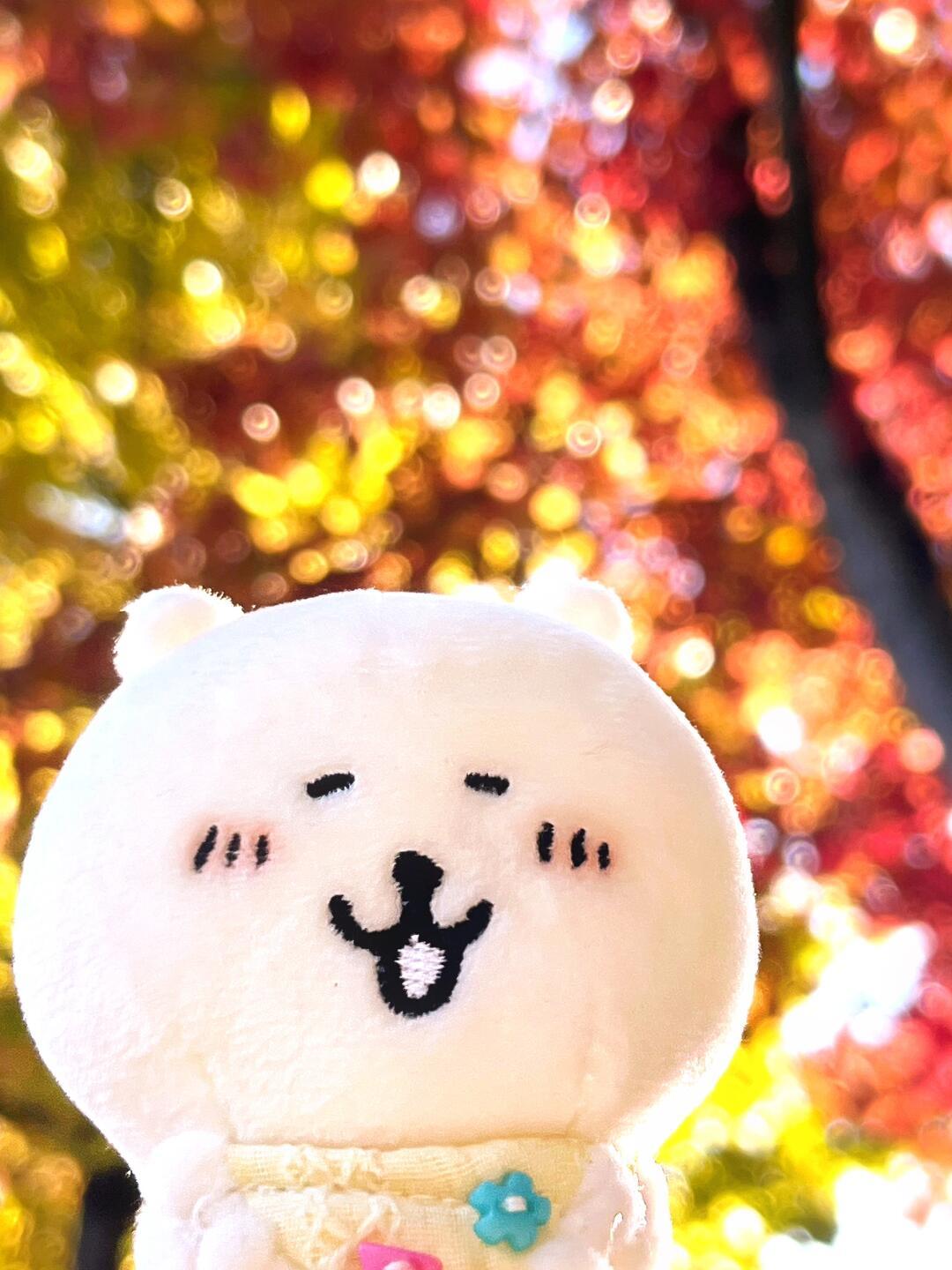 熊 幸福的时刻✨ 