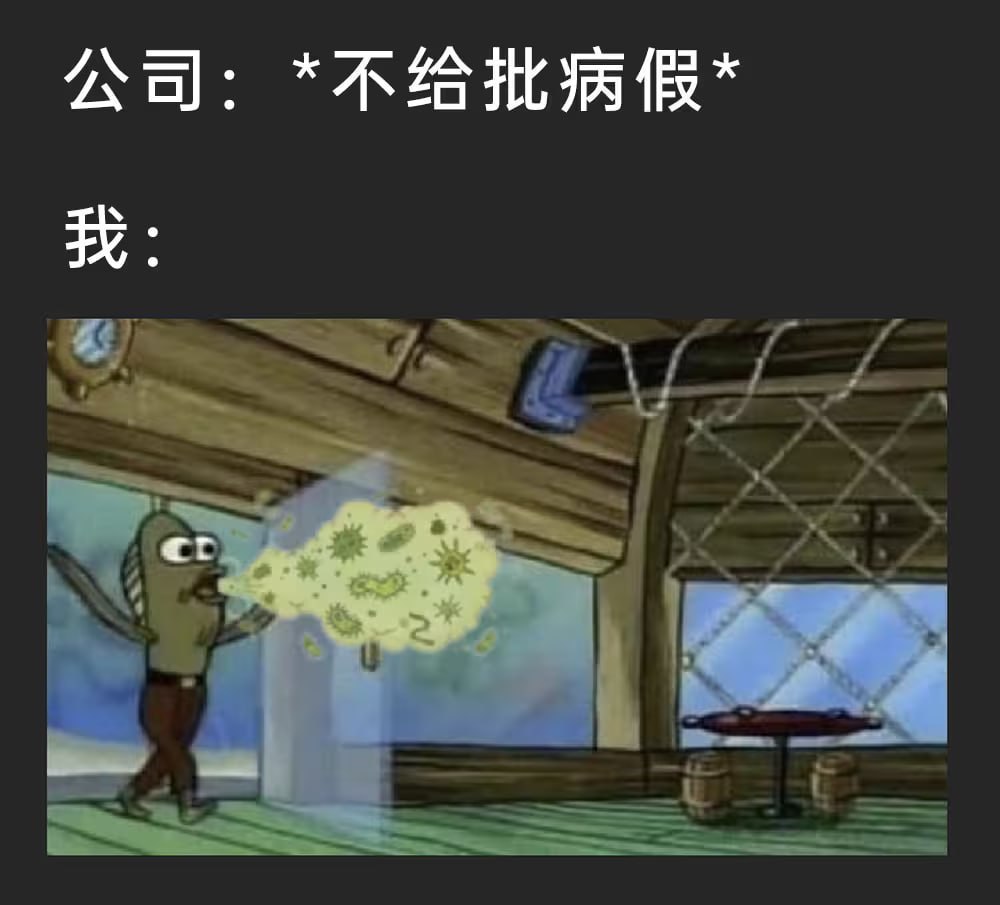 哈哈哈哈 
