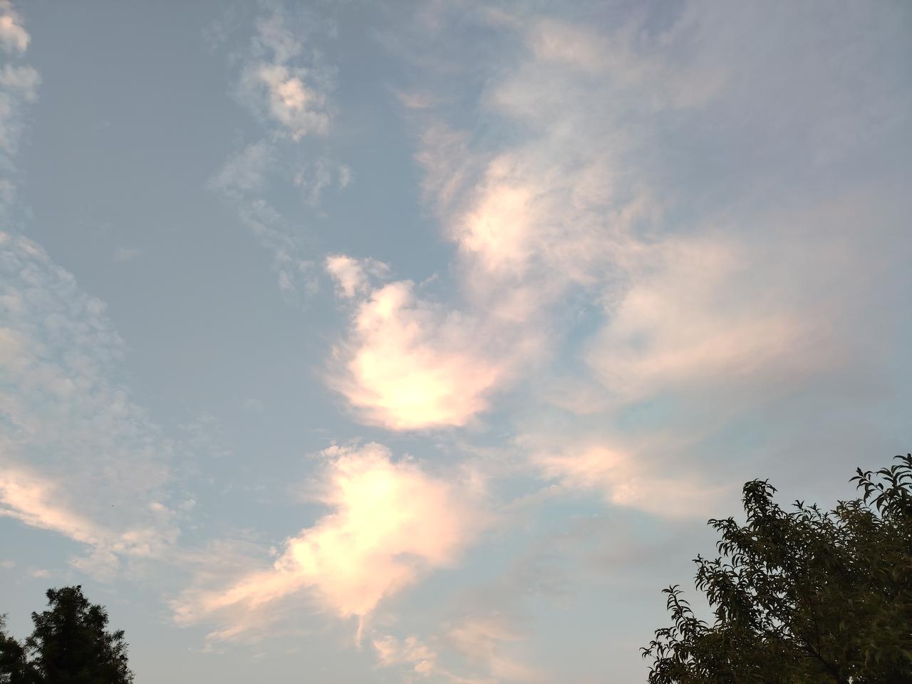 失忆的父亲
77岁的父亲，有时忘记吃过的饭，有时忘记说过的话，昨天他居然忘记了回