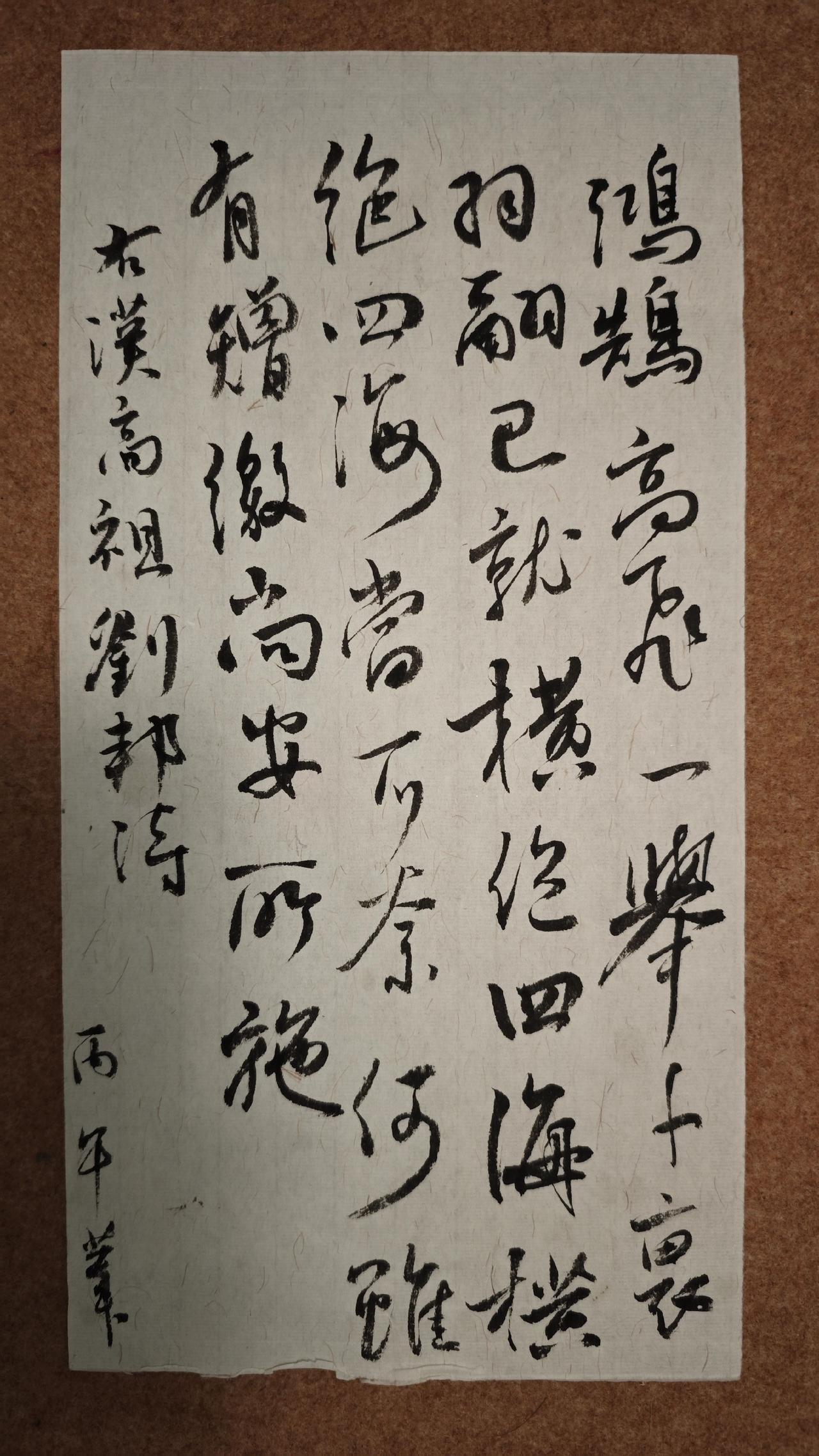鸿鹄高飞，一举千里。
羽翮已就，横绝四海。
横绝四海，当可奈何？
虽有矰缴，尚安
