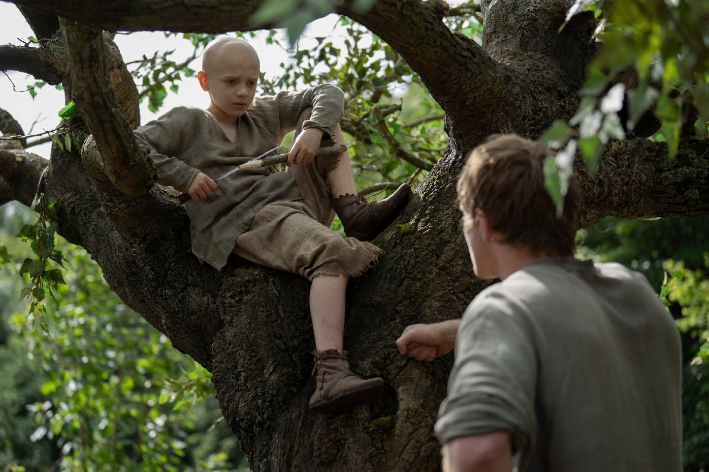 七王国的骑士这个小光头说话萌萌的好可爱 