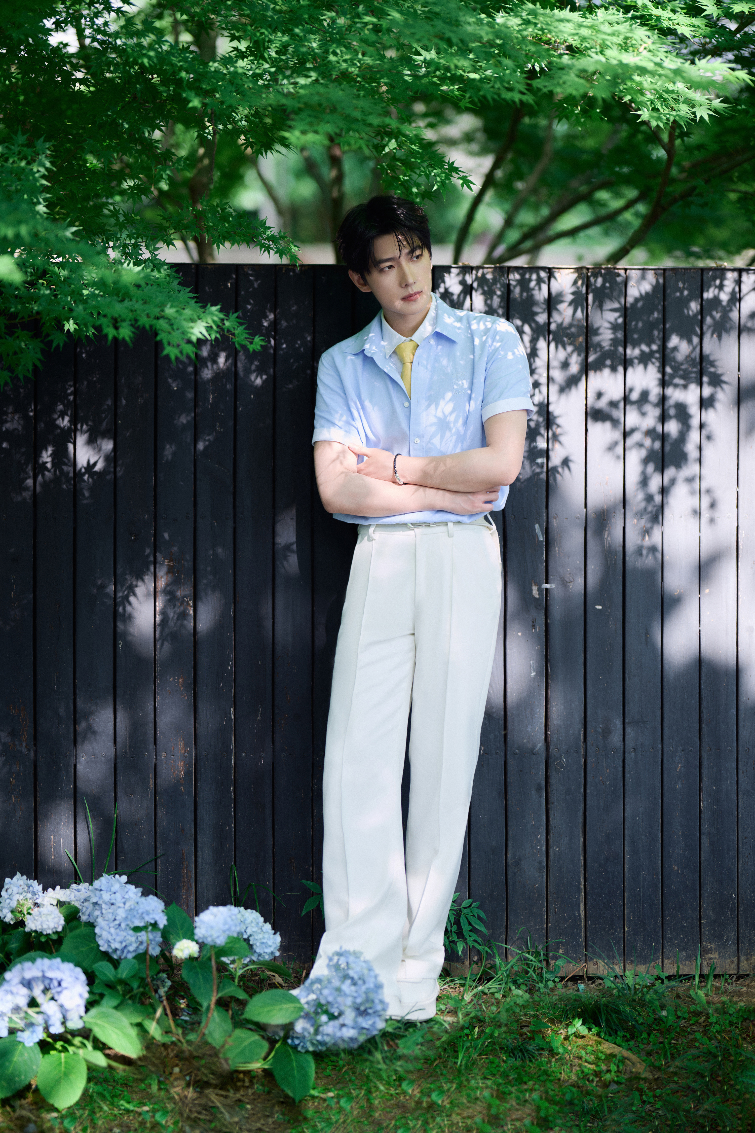 杨洋 