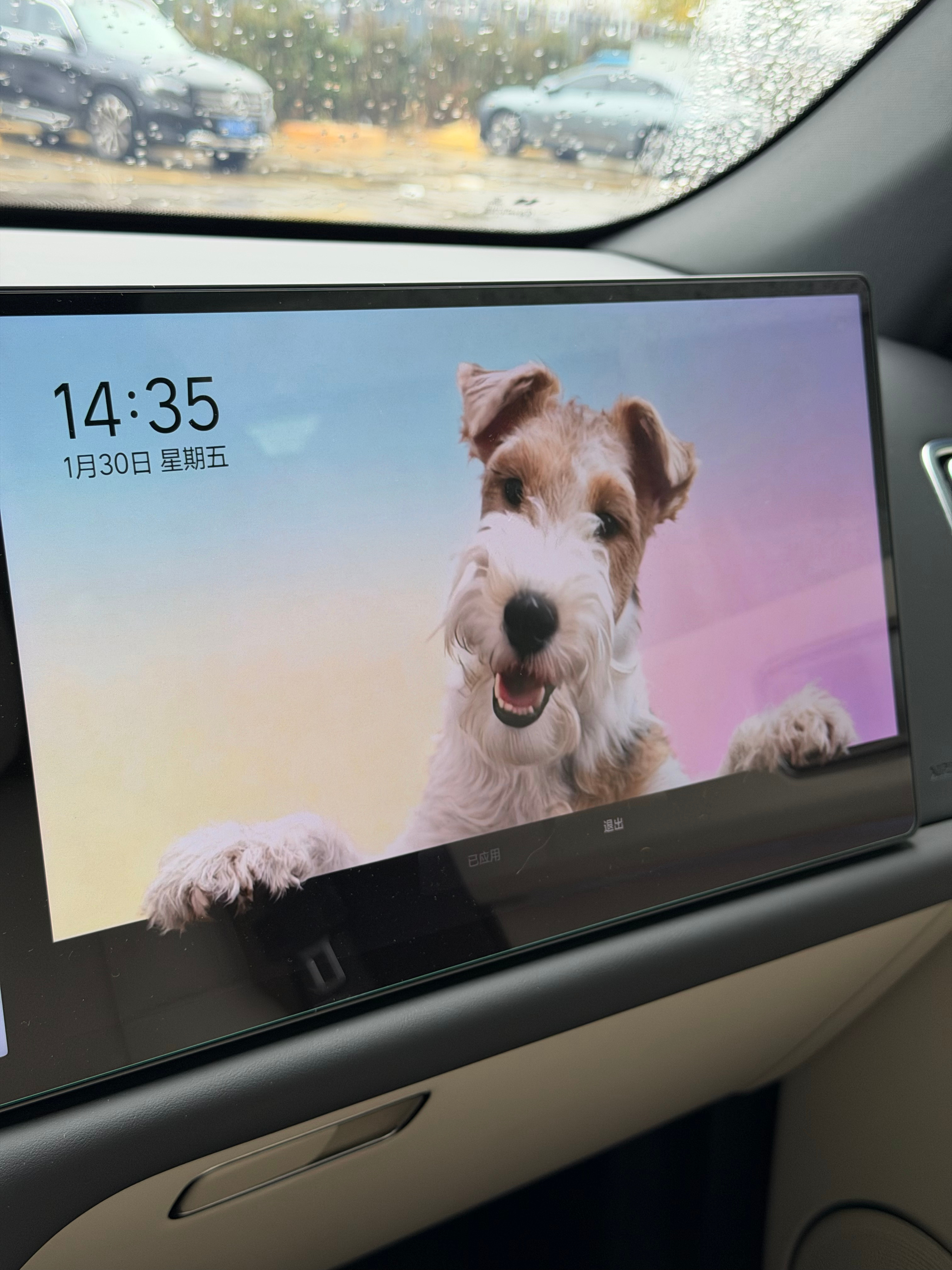 我们家丁丁狗也上电视啦理想l7 苏州