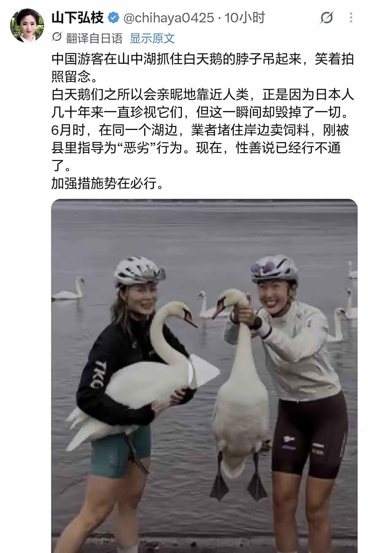 大量的日本网民用AI生成假照片和视频,污蔑中国游客抓天鹅。

这事在日本互联网引