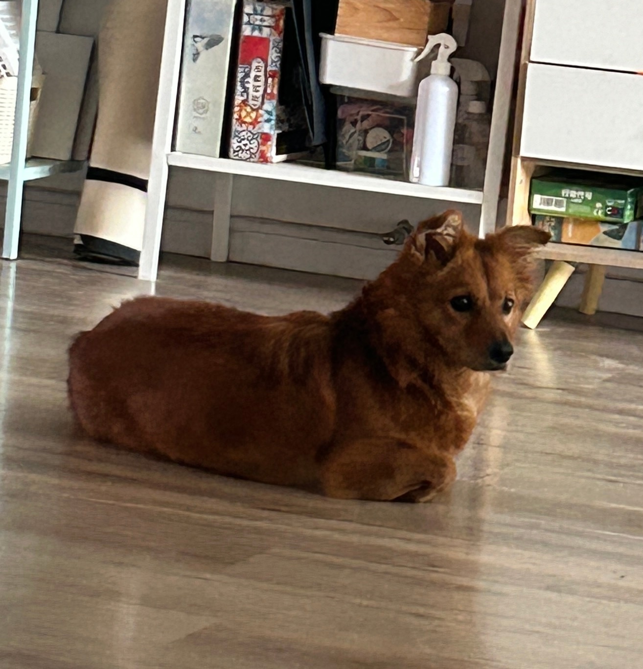 驶来，停靠，客满发车 