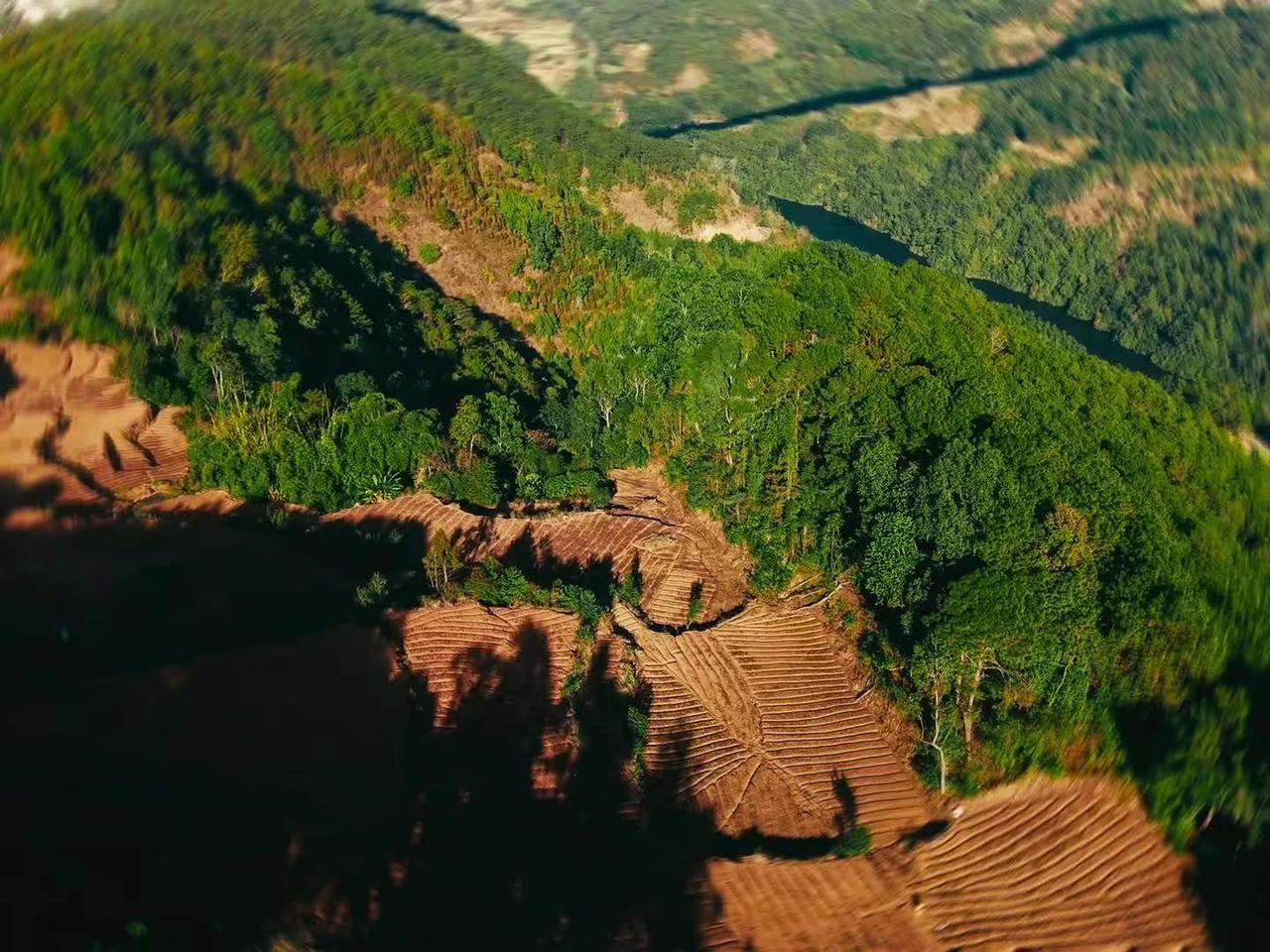 龙江大桥 亚洲最大高速索道桥桥梁工程