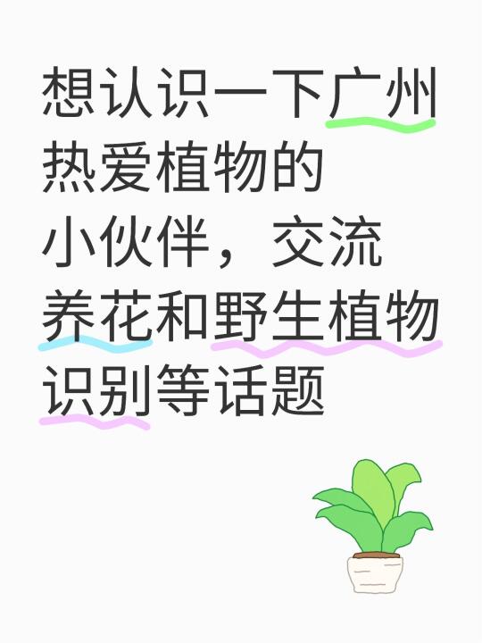 热爱植物的小伙伴快来！