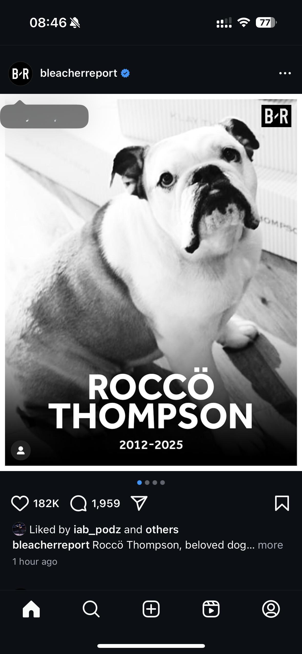 陪伴了阿汤13年的Rocoo在上周六接受了安乐死[伤心]RIP[蜡烛]克莱的爱犬