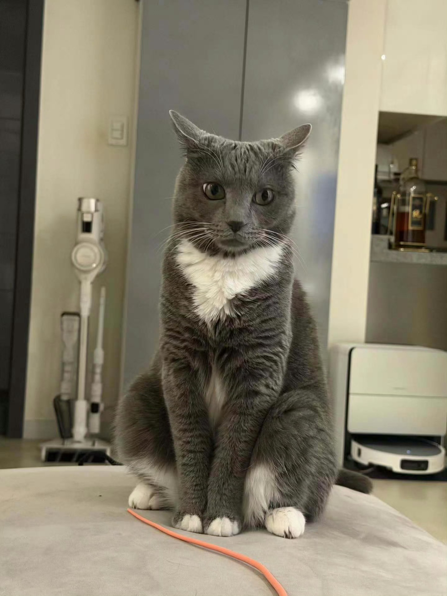 金允植 人，你可以靠在咪宽阔的胸膛上😼 