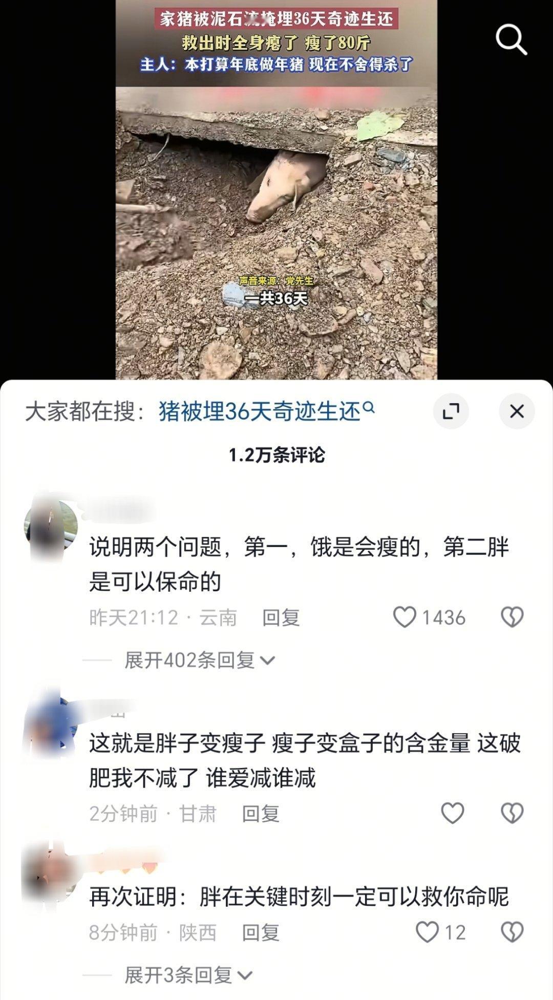 所以胖又胖的好处[允悲][允悲][允悲][允悲] ​​​